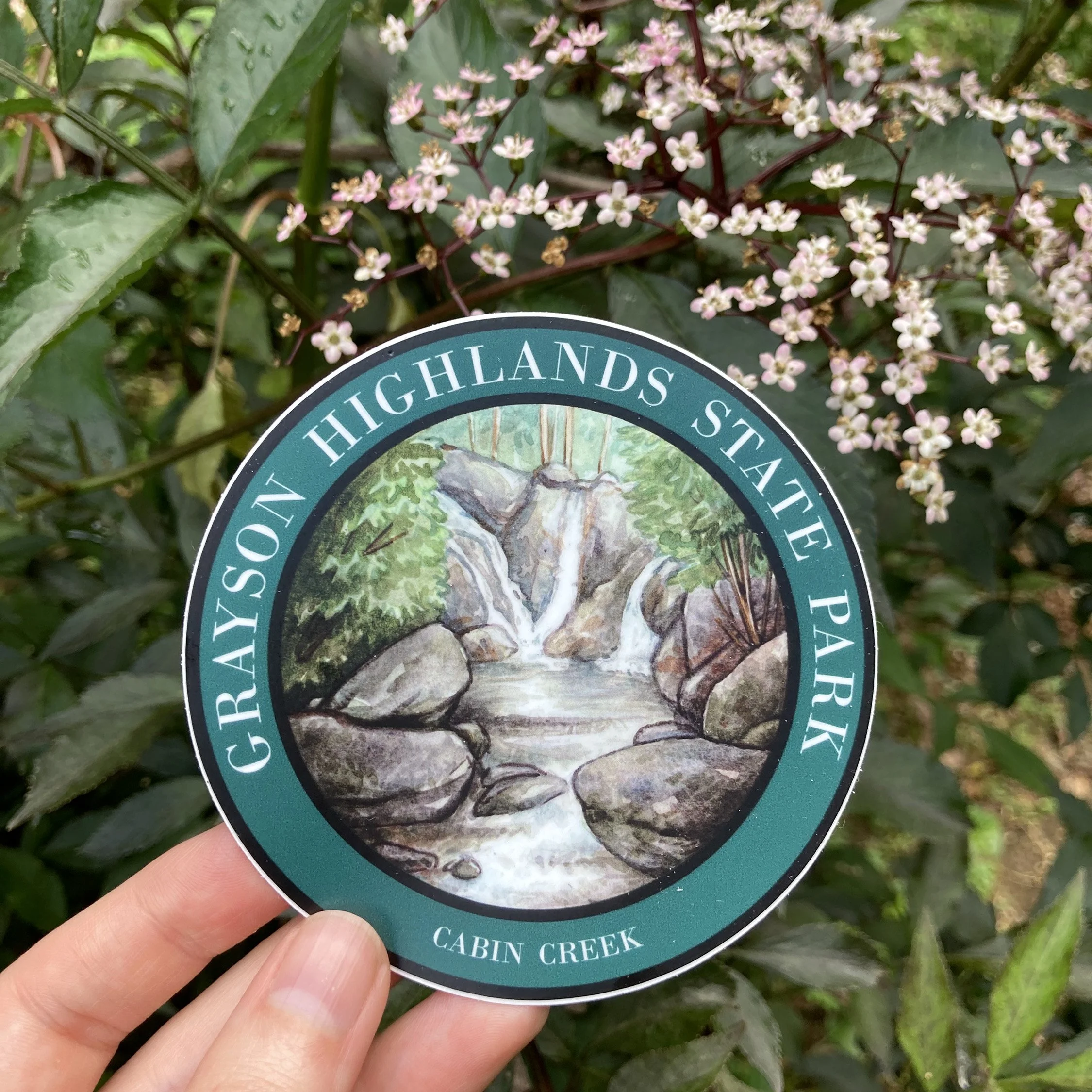 LRowe_GH cabin creek_web.jpg