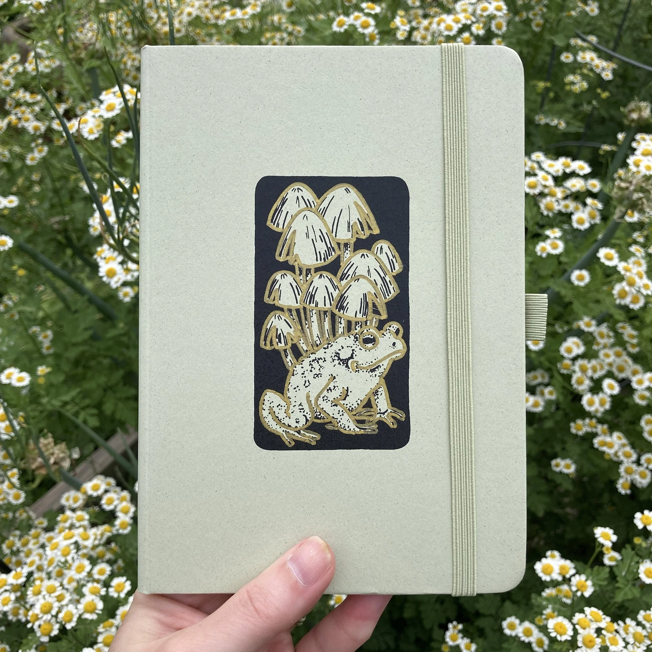 Frog and Fungi Eco-Friendly Upcycled Kiwi Notebook