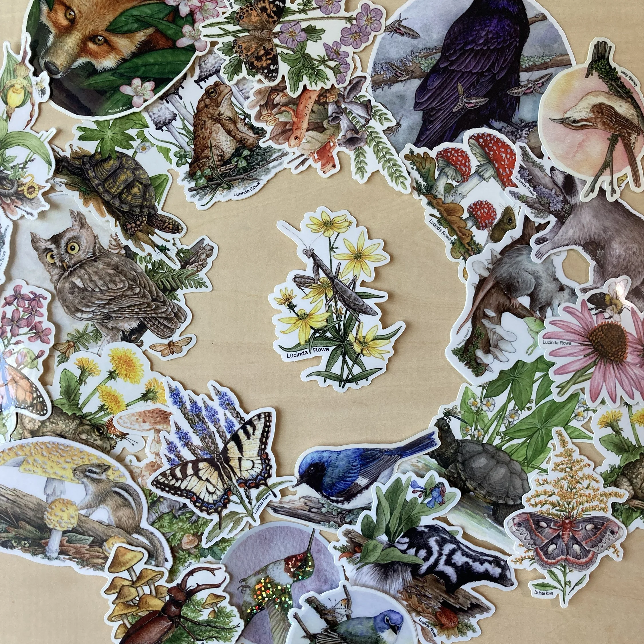 LRowe_mantis sticker_photo 3.jpg