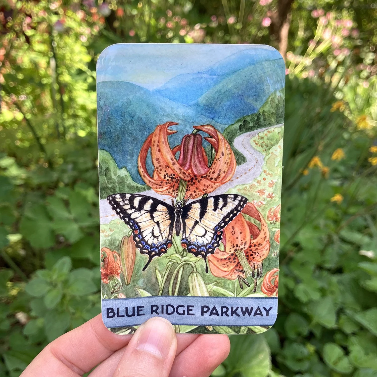 LRowe_EP PKWY swallowtail_web.jpg