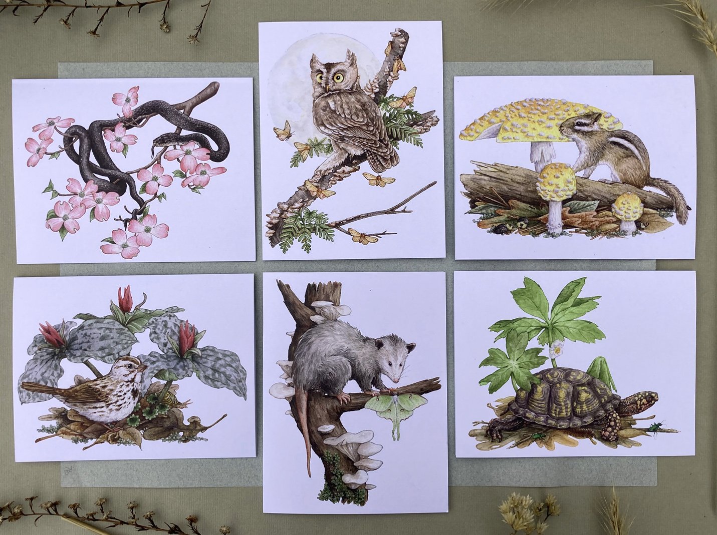 12 Woodland Critters on Blank Recycled Cards