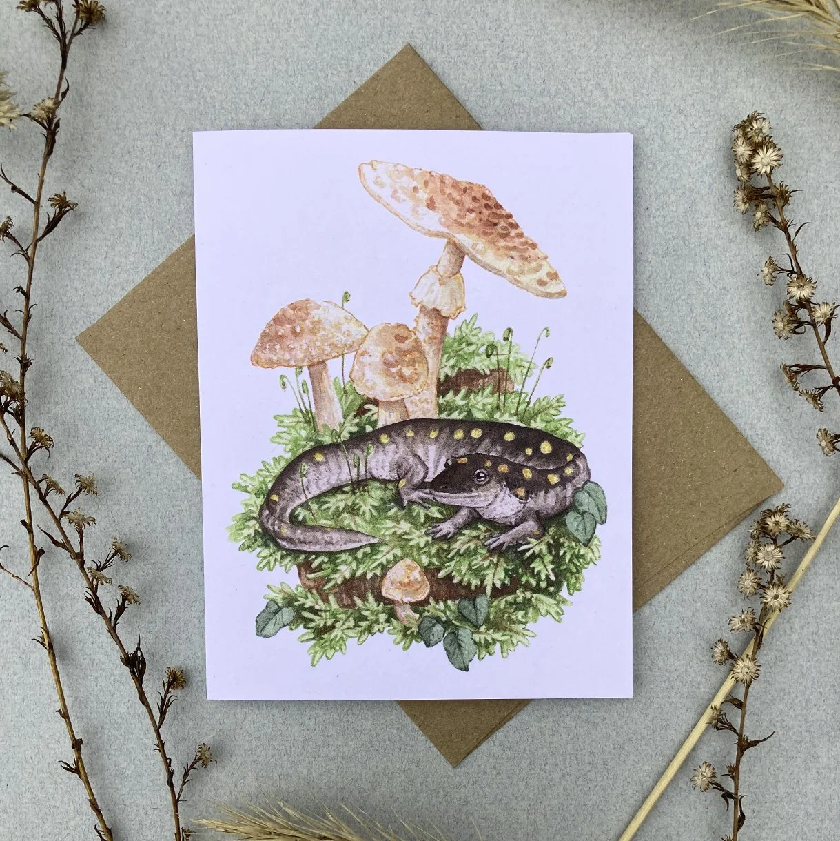 Cards_Amphibians_photo 4.jpg