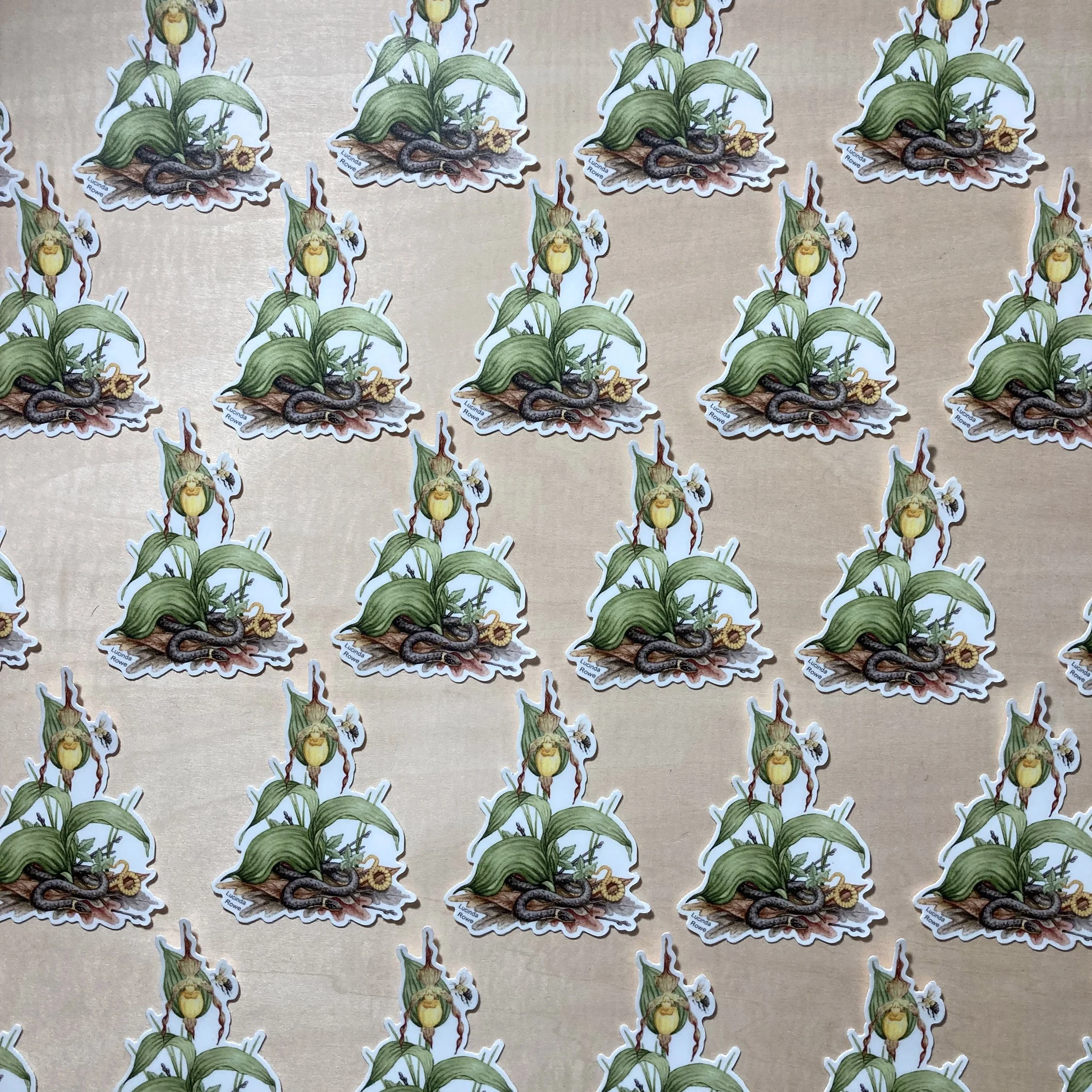 LRowe_ringneck sticker_photo 2.jpg