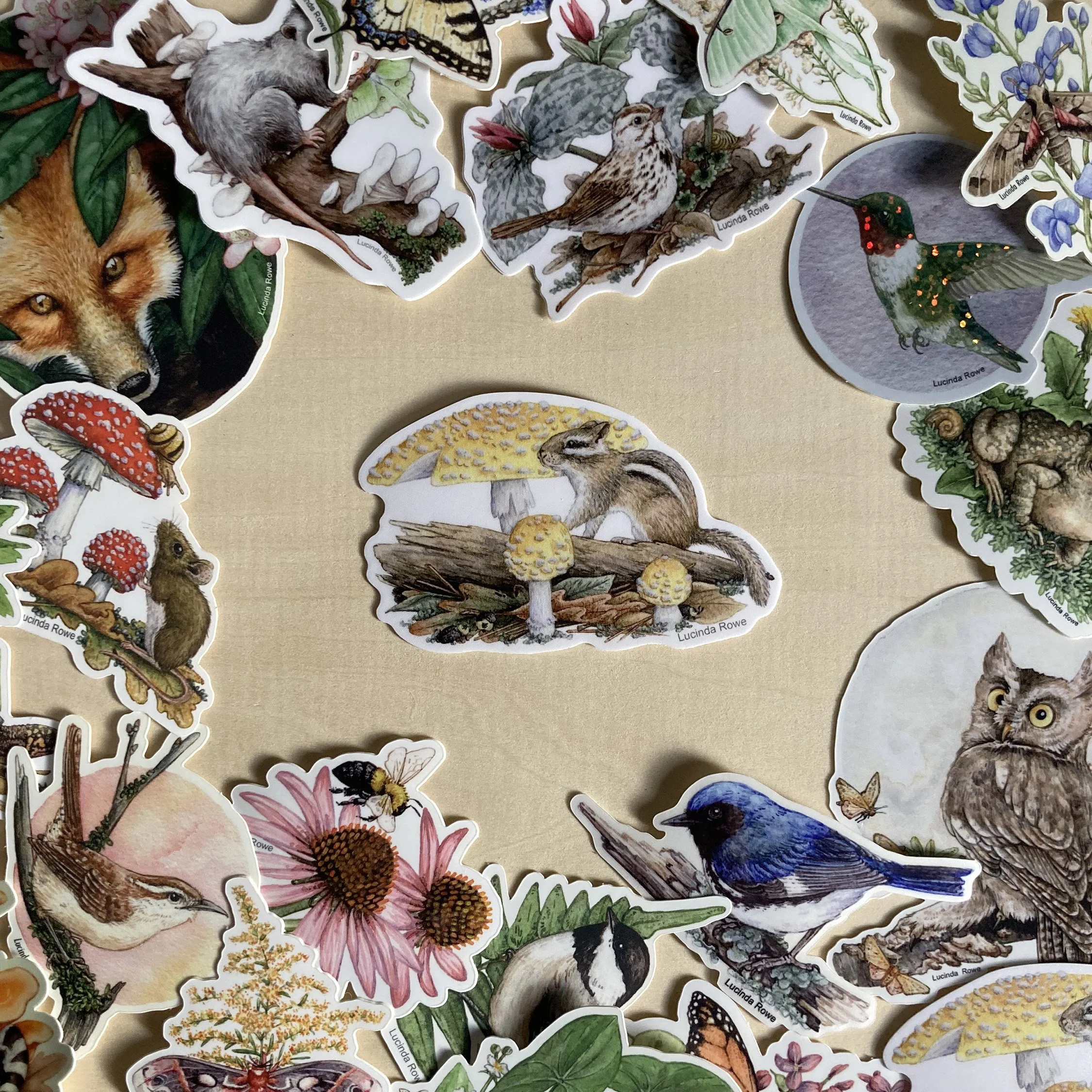 LRowe_chipmunk sticker_photo 3.jpg