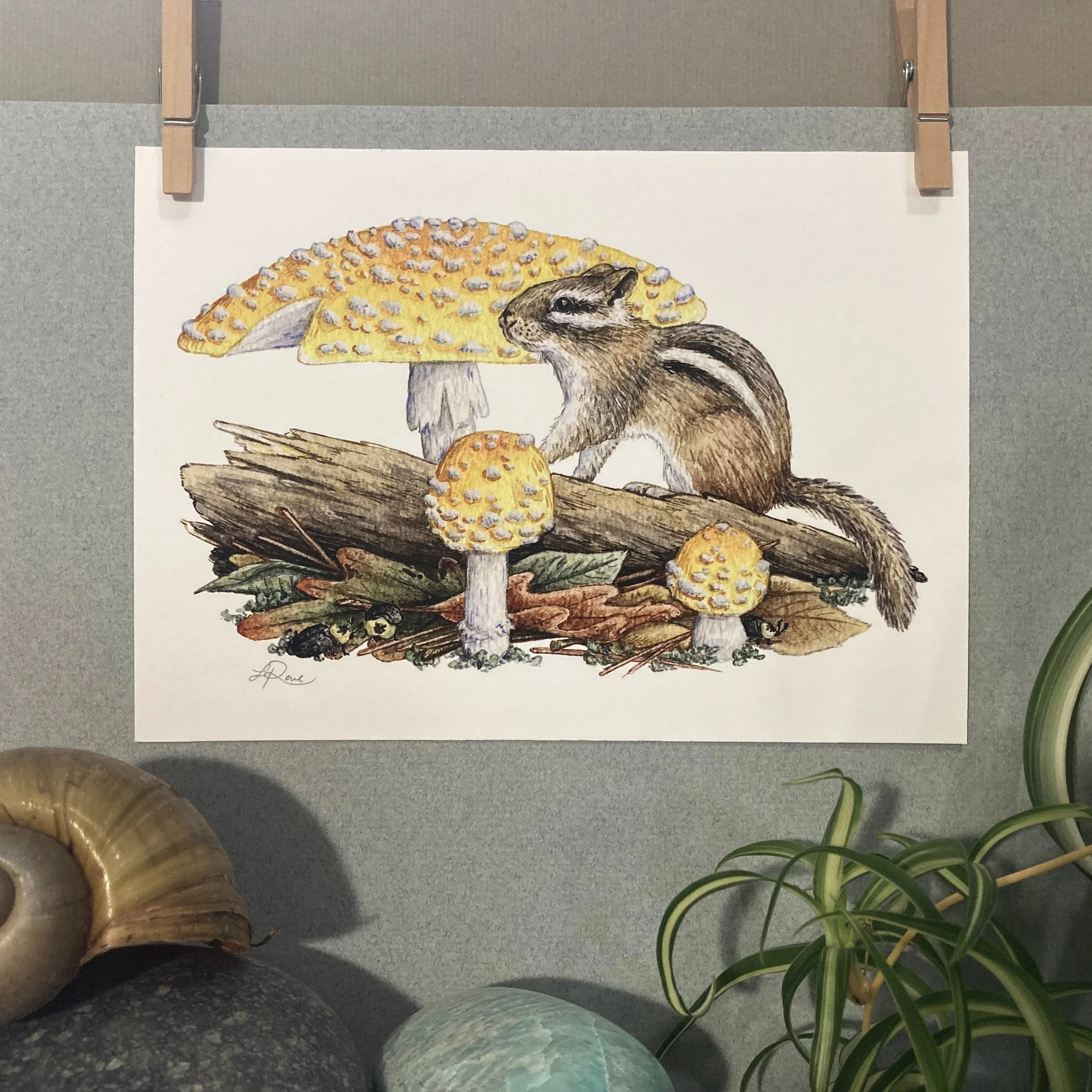 chipmunk amanita carrion beetle giclee print watercolor Lucinda Rowe