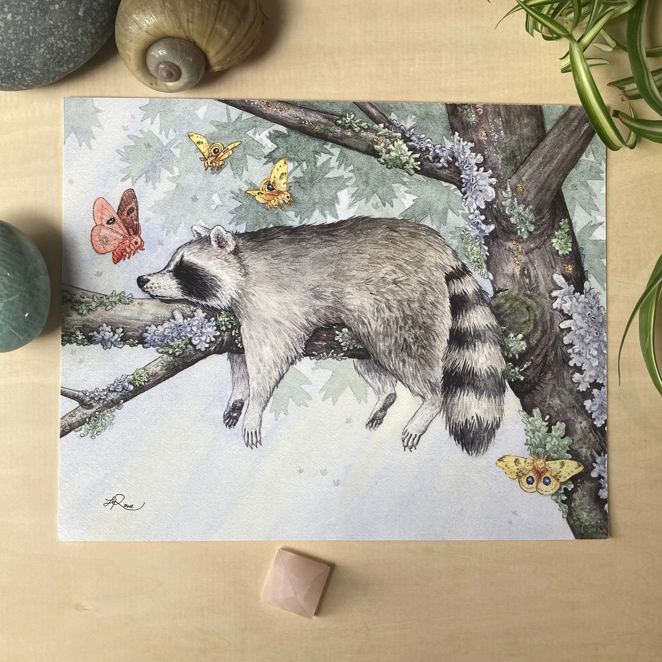 LRowe_raccoon print_photo 2.jpg