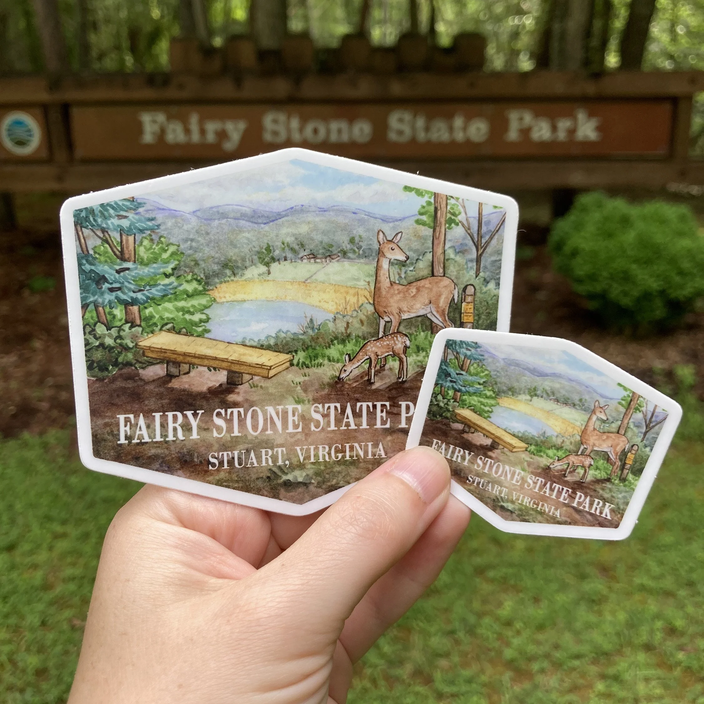 LRowe_FS overlook_web.jpg