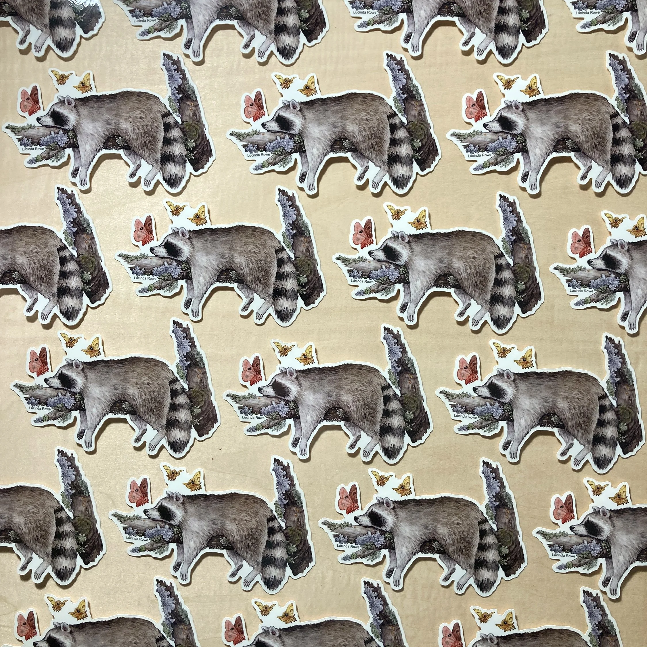 LRowe_raccoon sticker_photo 2.jpg