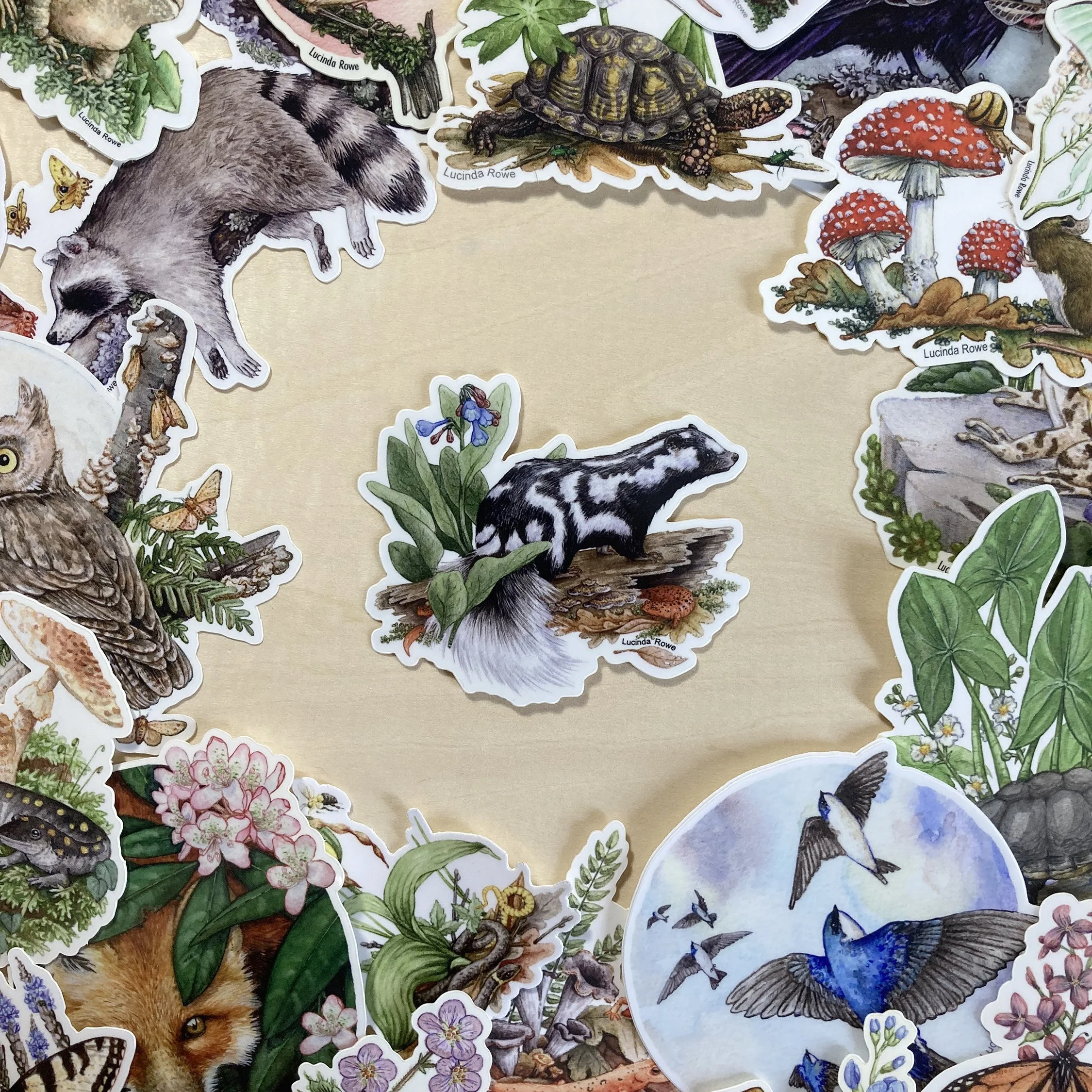 LRowe_skunk sticker_photo3.jpg