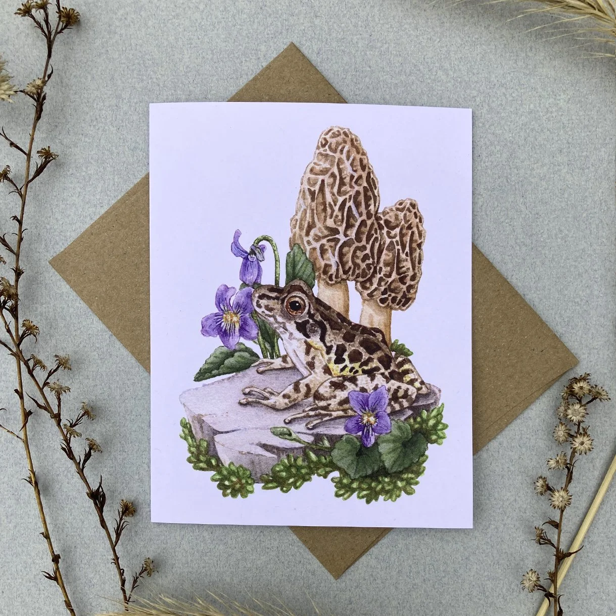 Cards_Amphibians_photo 6.jpg