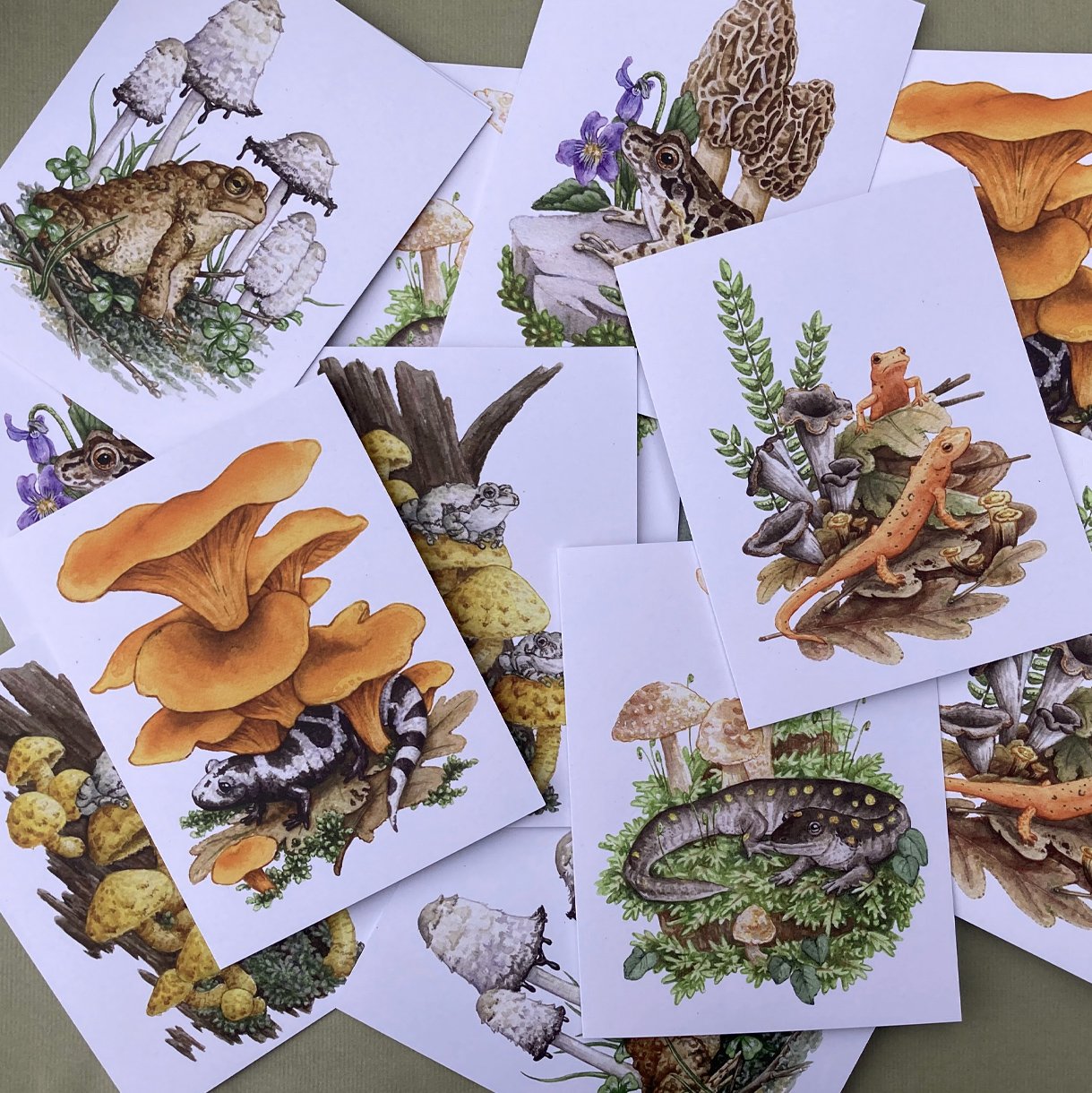 Cards_Amphibians_photo 8.jpg