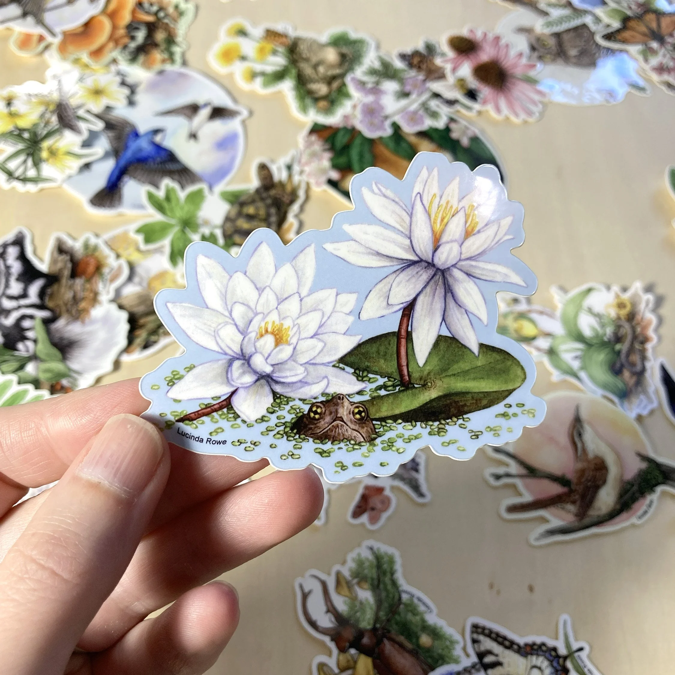 Sticker - Turtle with Water Lilies