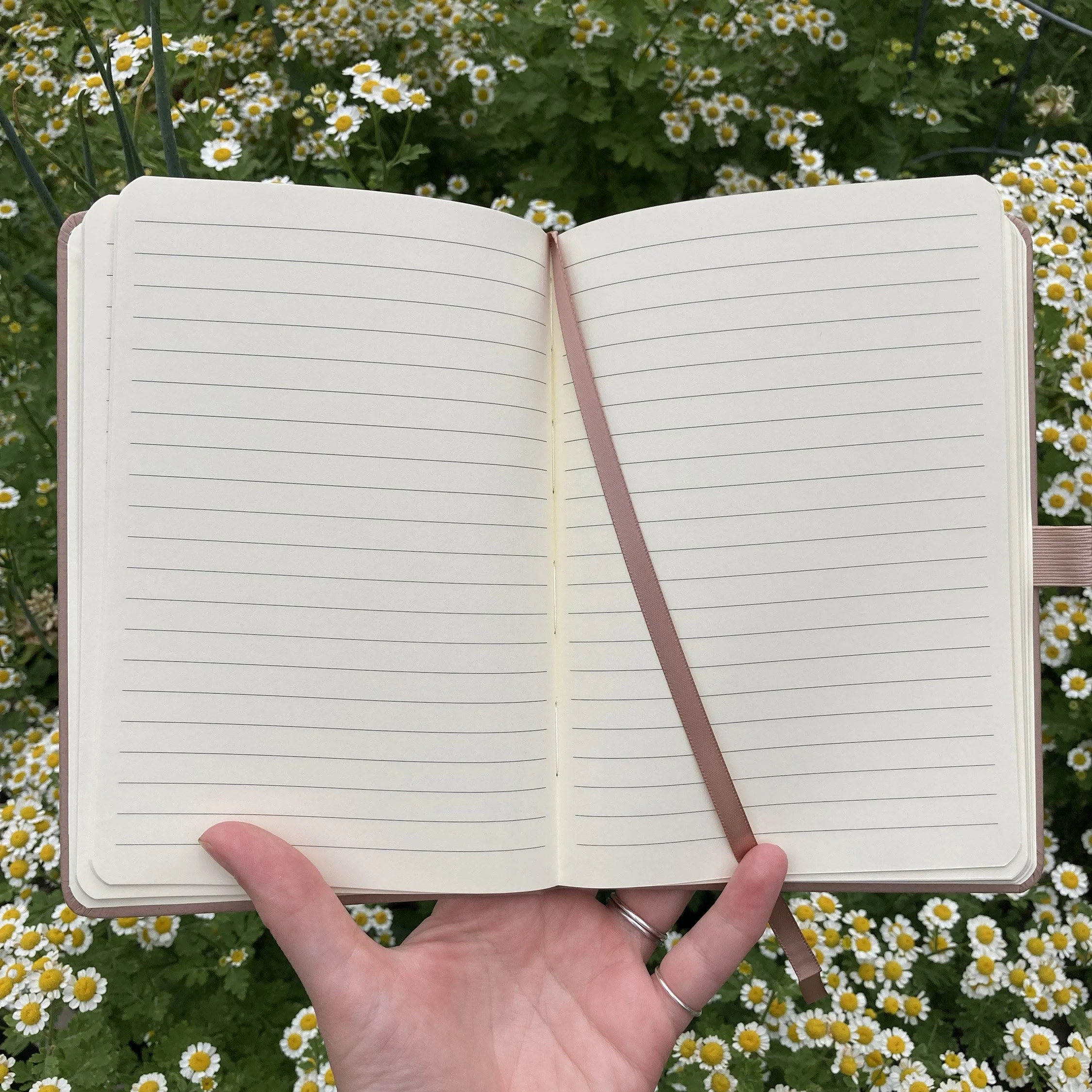 LRowe_owl notebook_photo 2.jpg