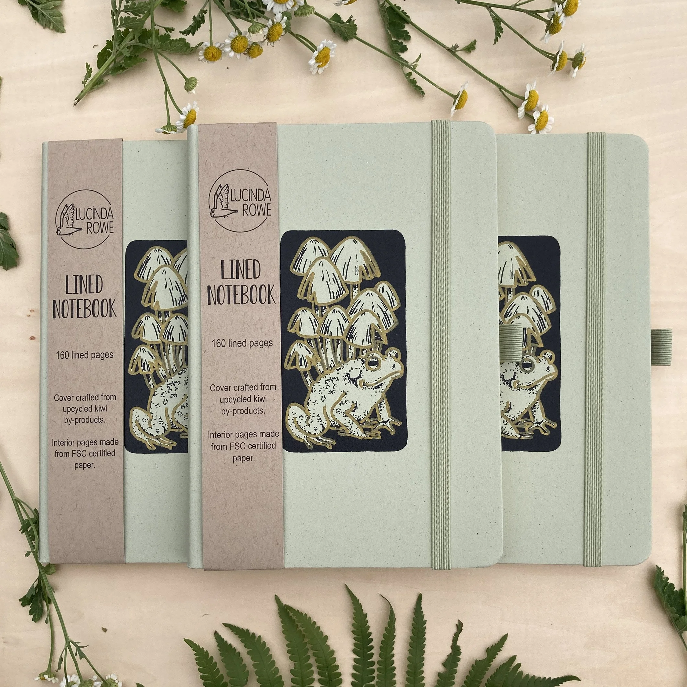 LRowe_frog notebook_photo 3.jpg