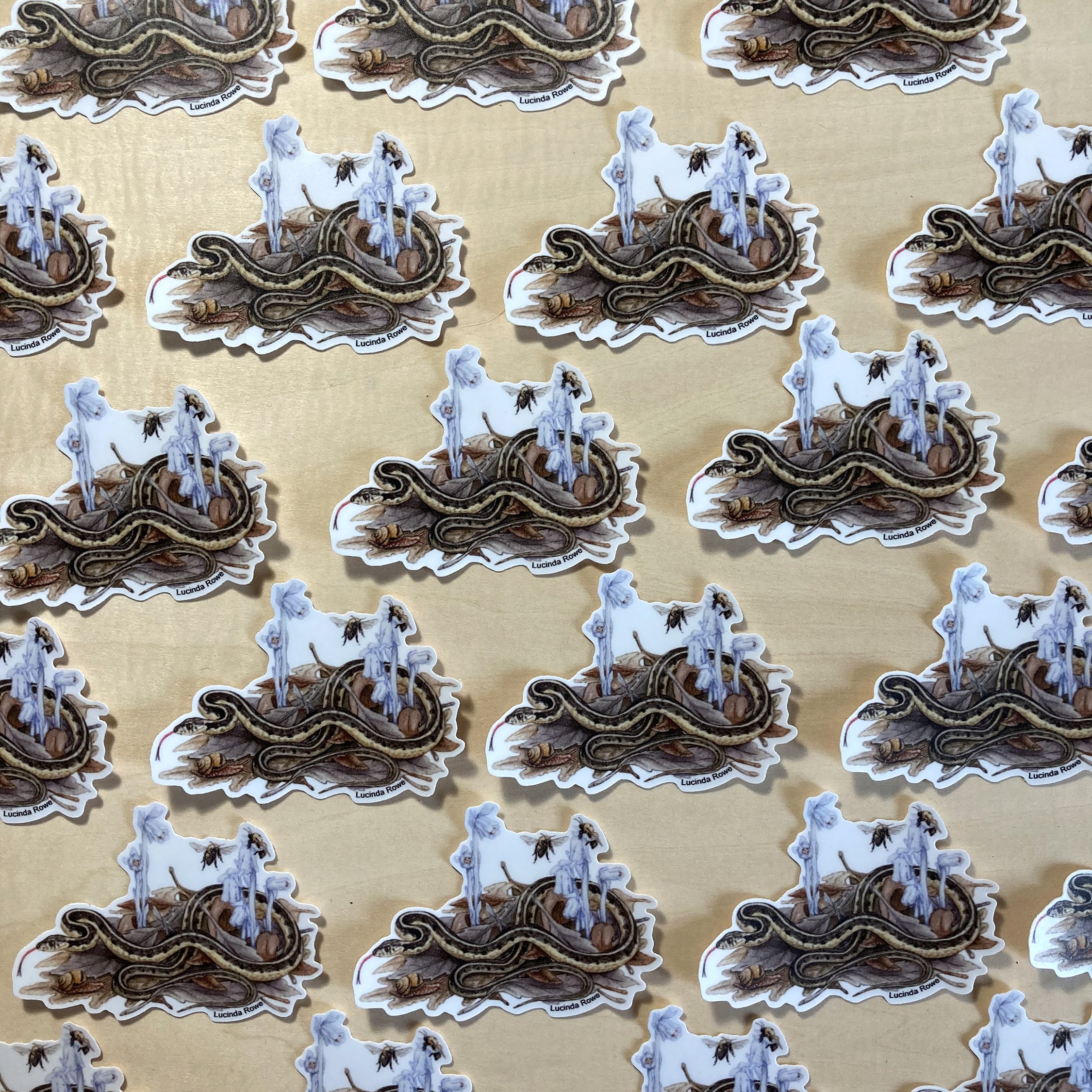 LRowe_garter snake sticker_photo 2.jpg