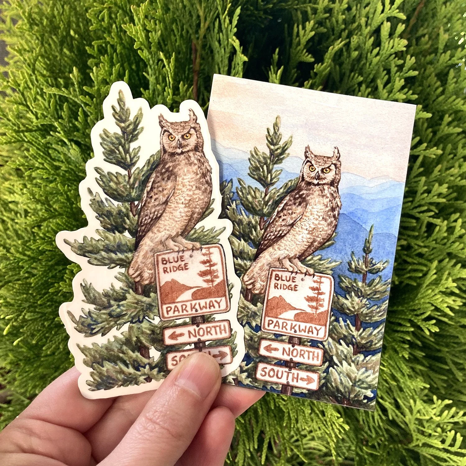 LRowe_EP PKWY owl_web.jpg