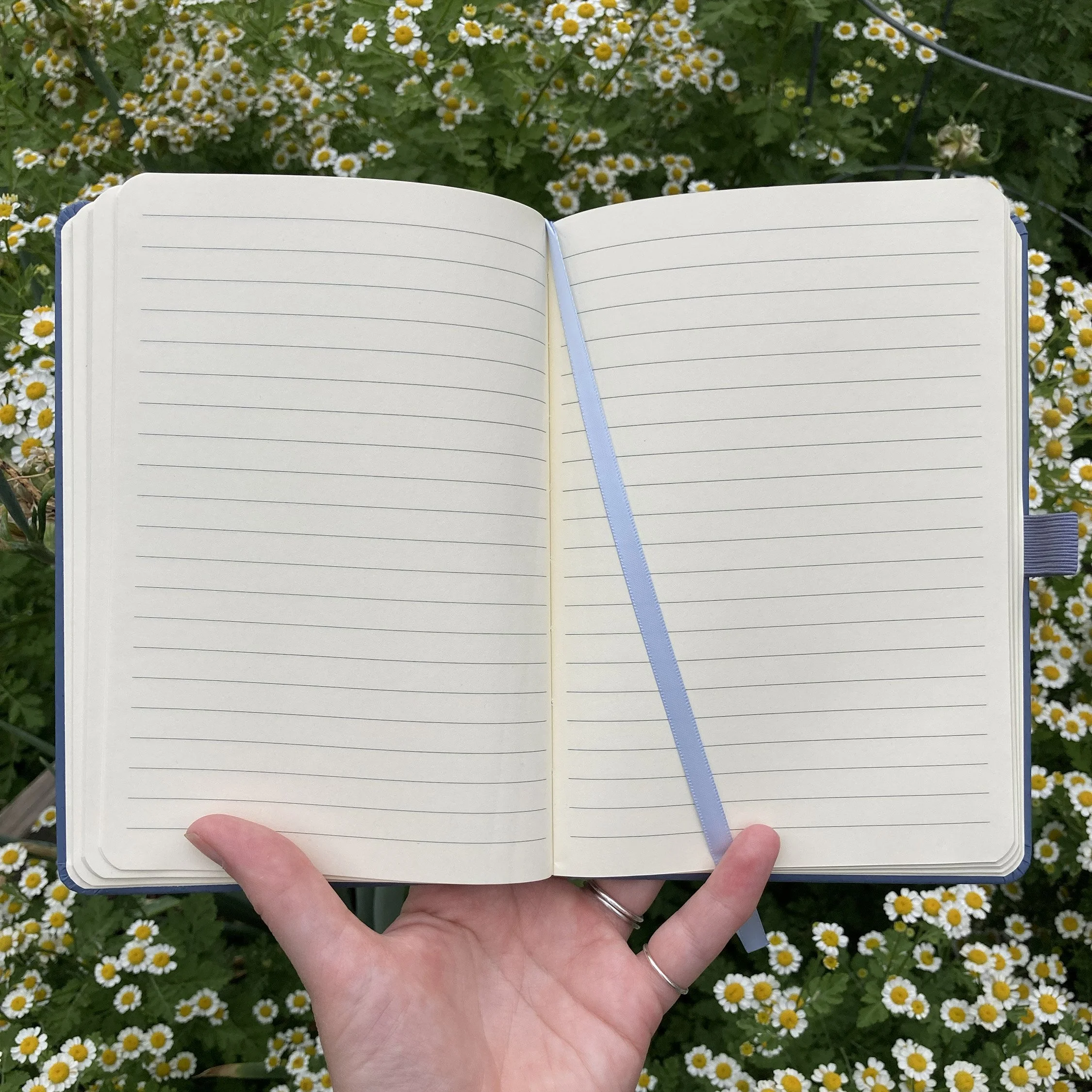 LRowe_spiderweb notebook_photo 2.jpg