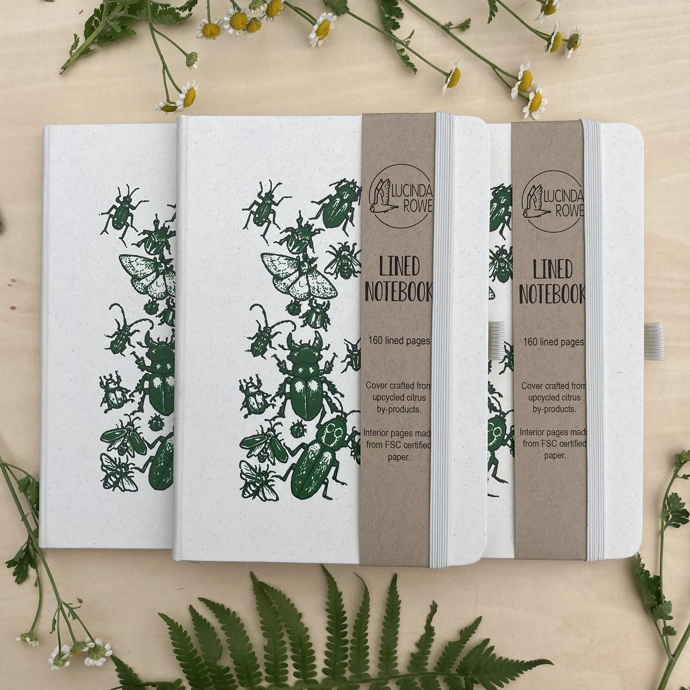 LRowe_insect notebook_photo 3.jpg