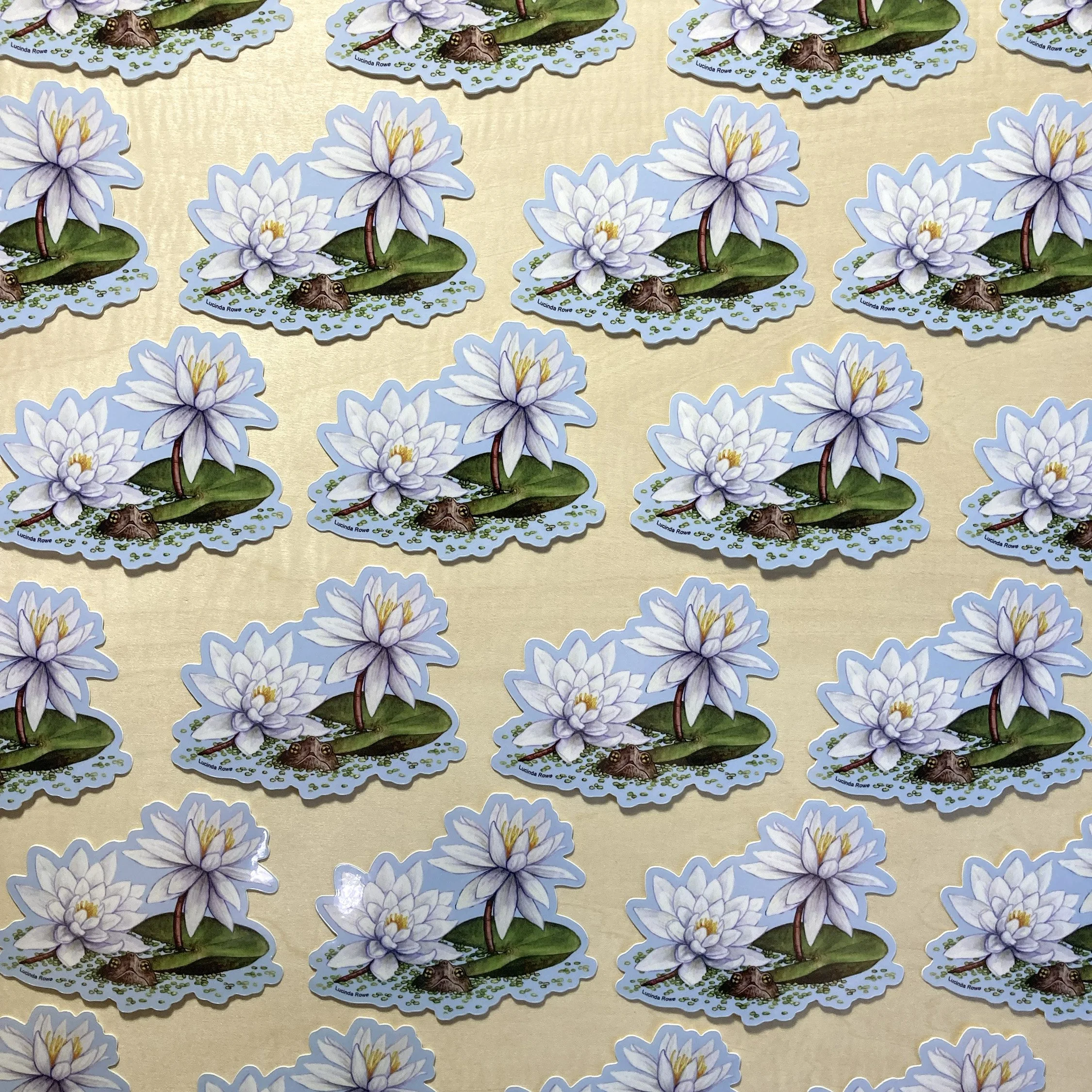 LRowe_new turtle sticker_photo 2.jpg