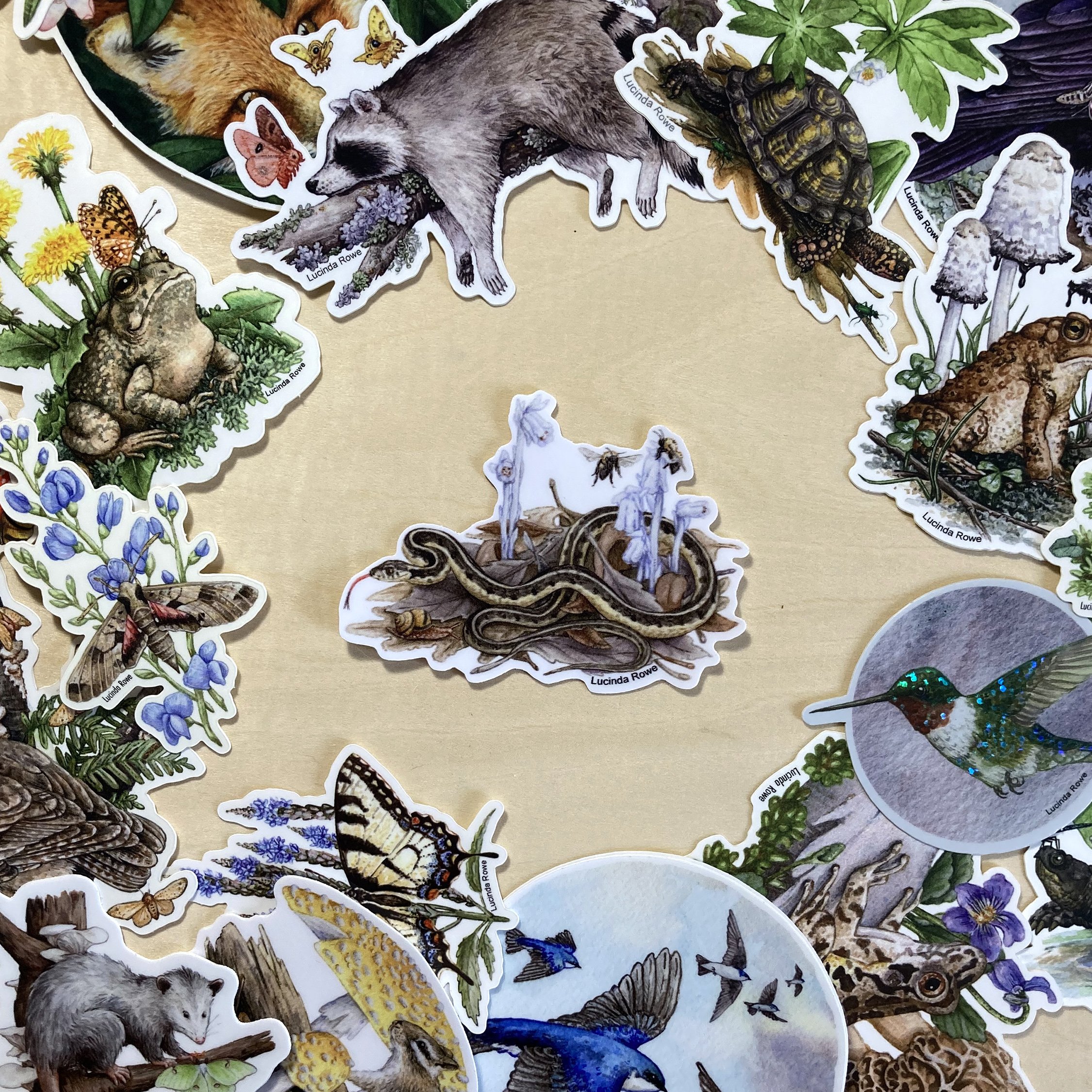 LRowe_garter snake sticker_photo 3.jpg