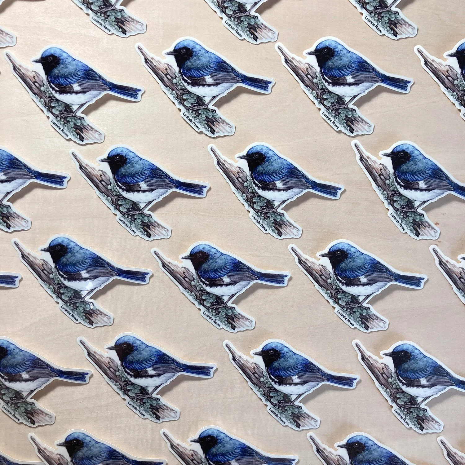 LRowe_BTBW sticker_photo 3.jpg