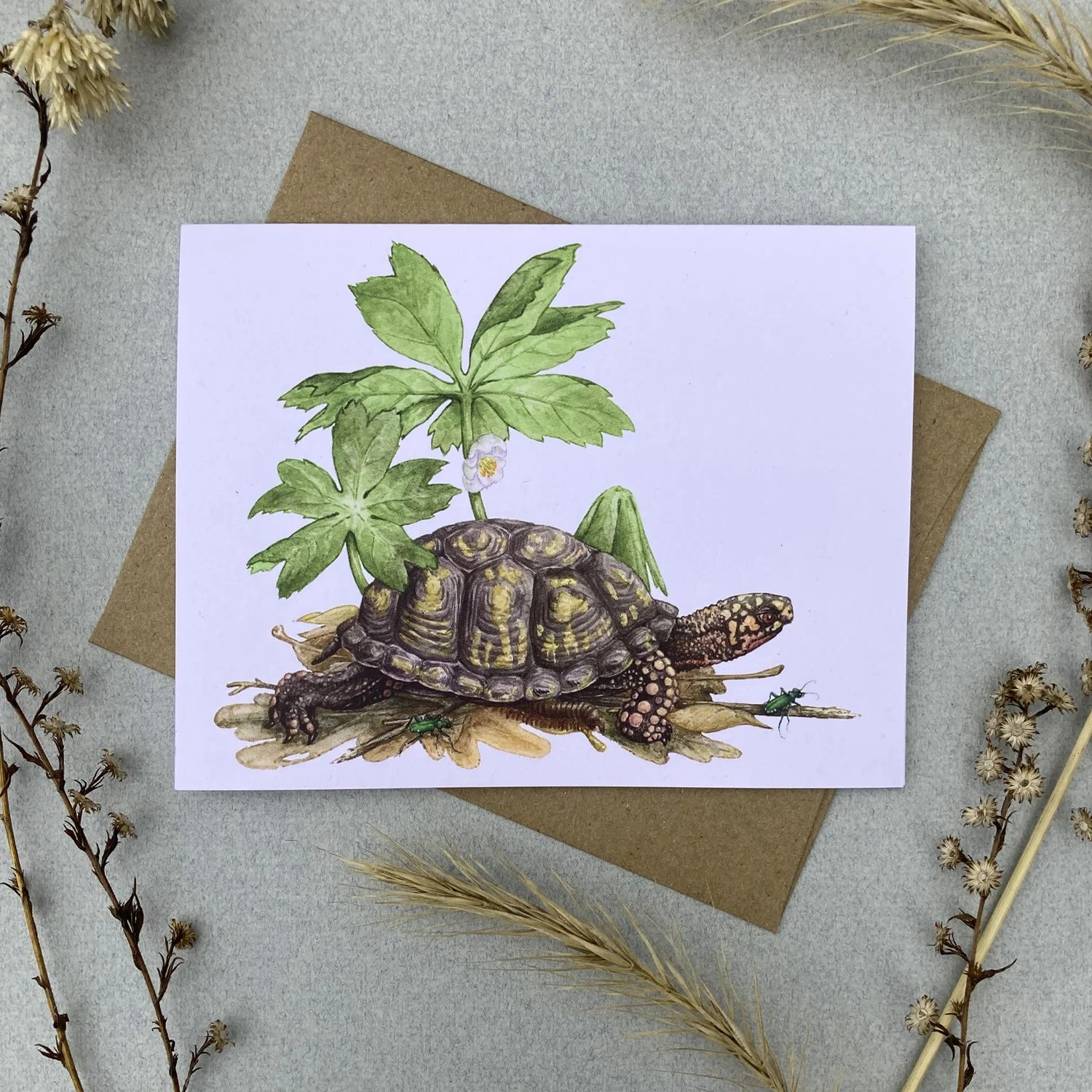 Cards_Woodland_photo 6.jpg