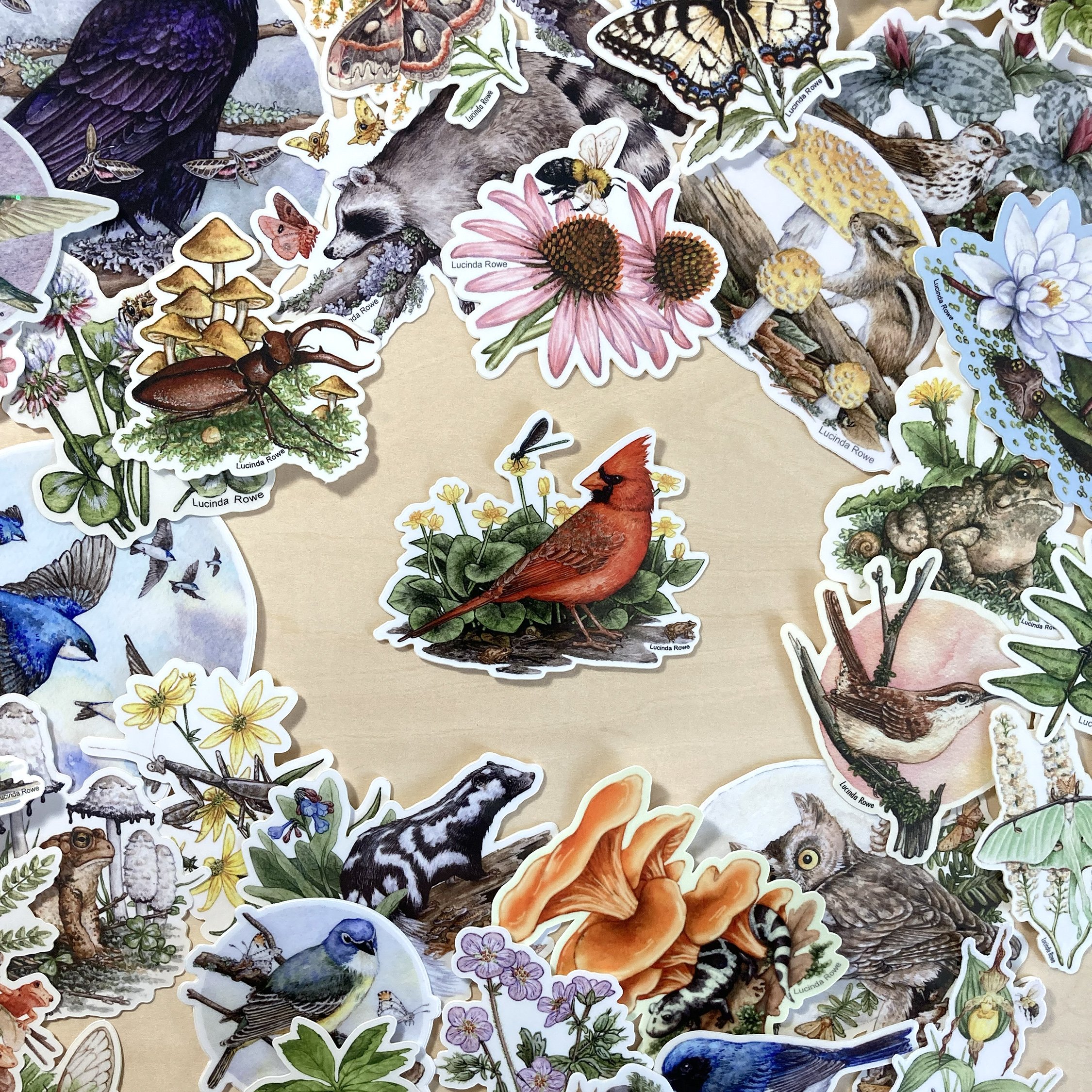 LRowe_NOCA sticker_photo 3.jpg