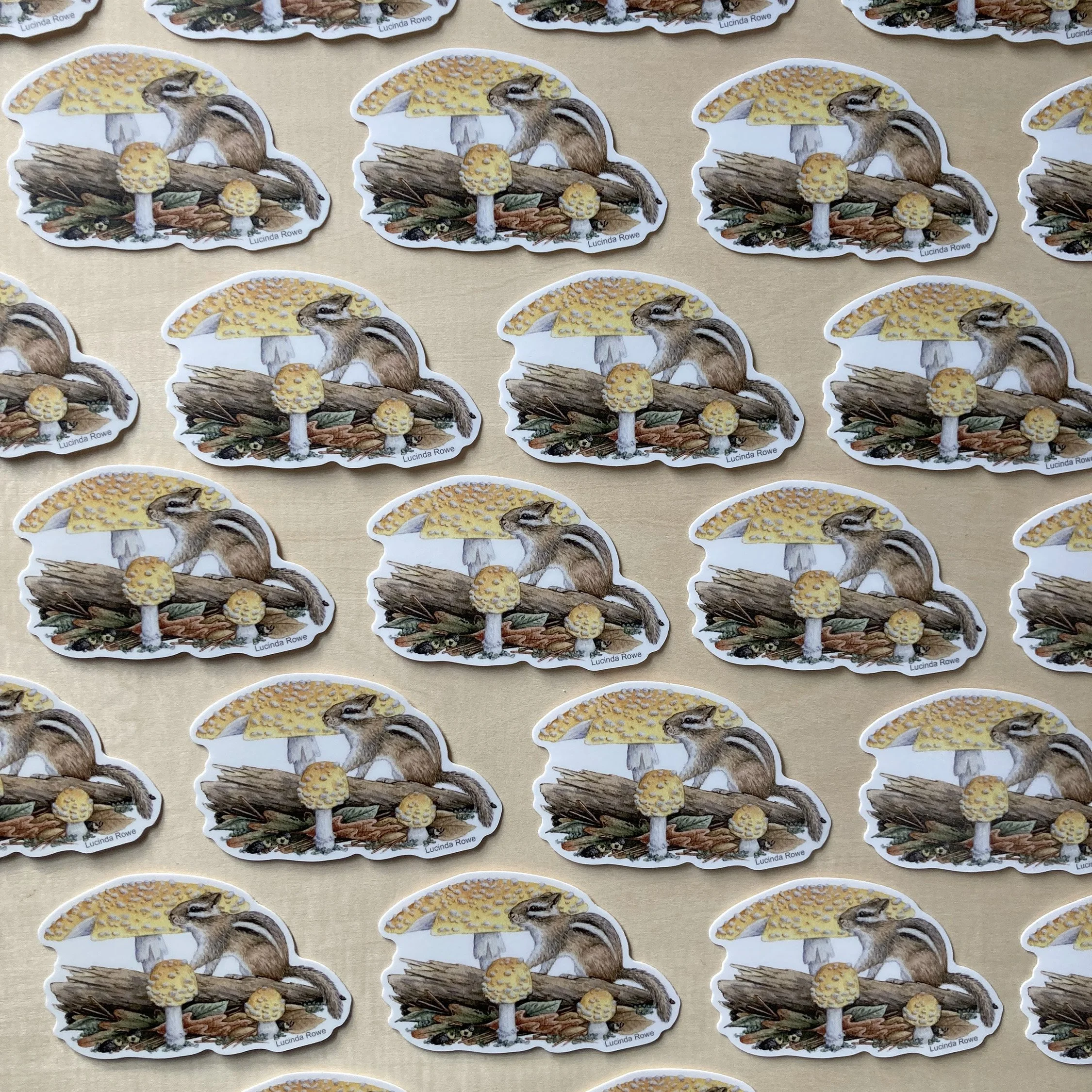 LRowe_chipmunk sticker_photo 2.jpg