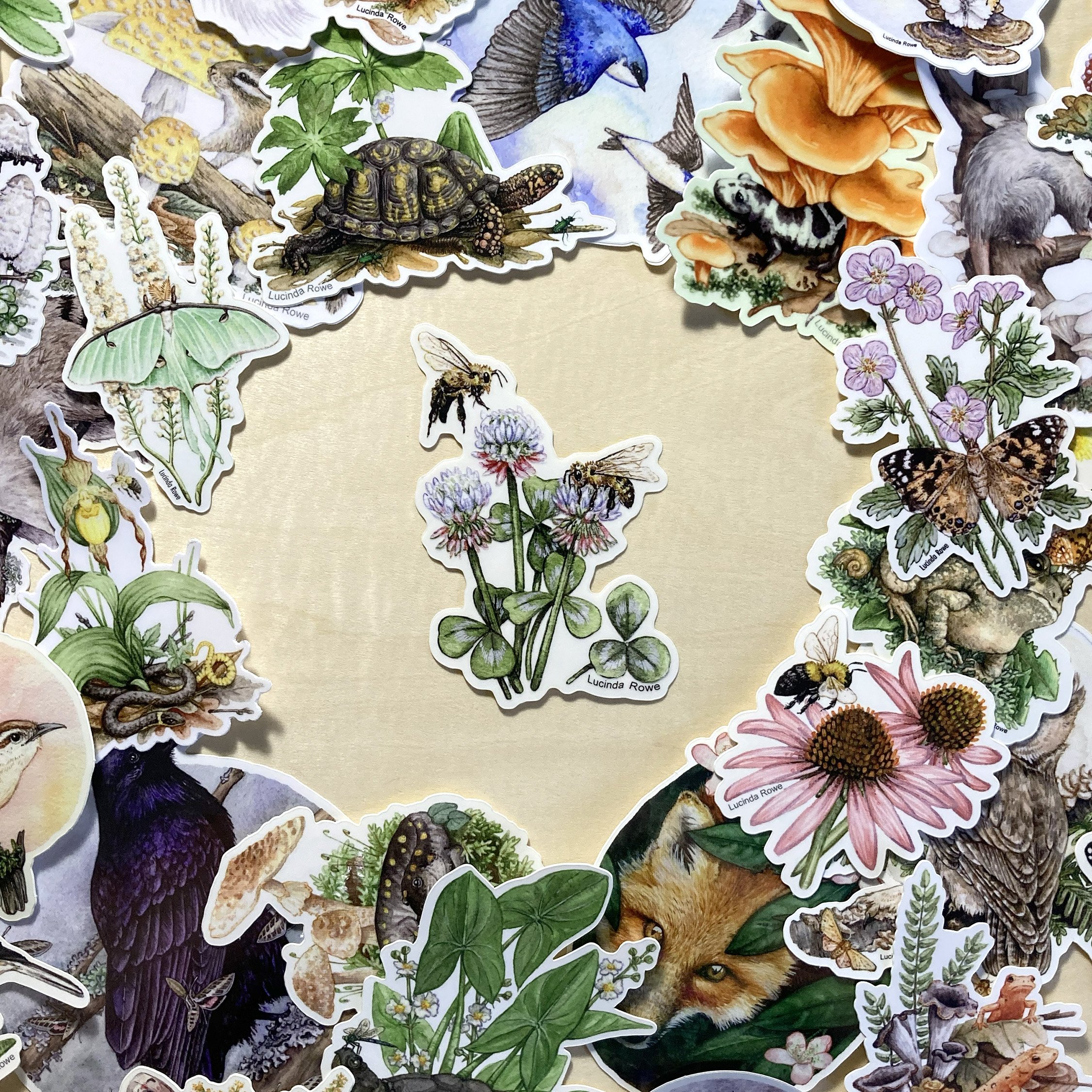 LRowe_honey bee sticker_photo 4.jpg