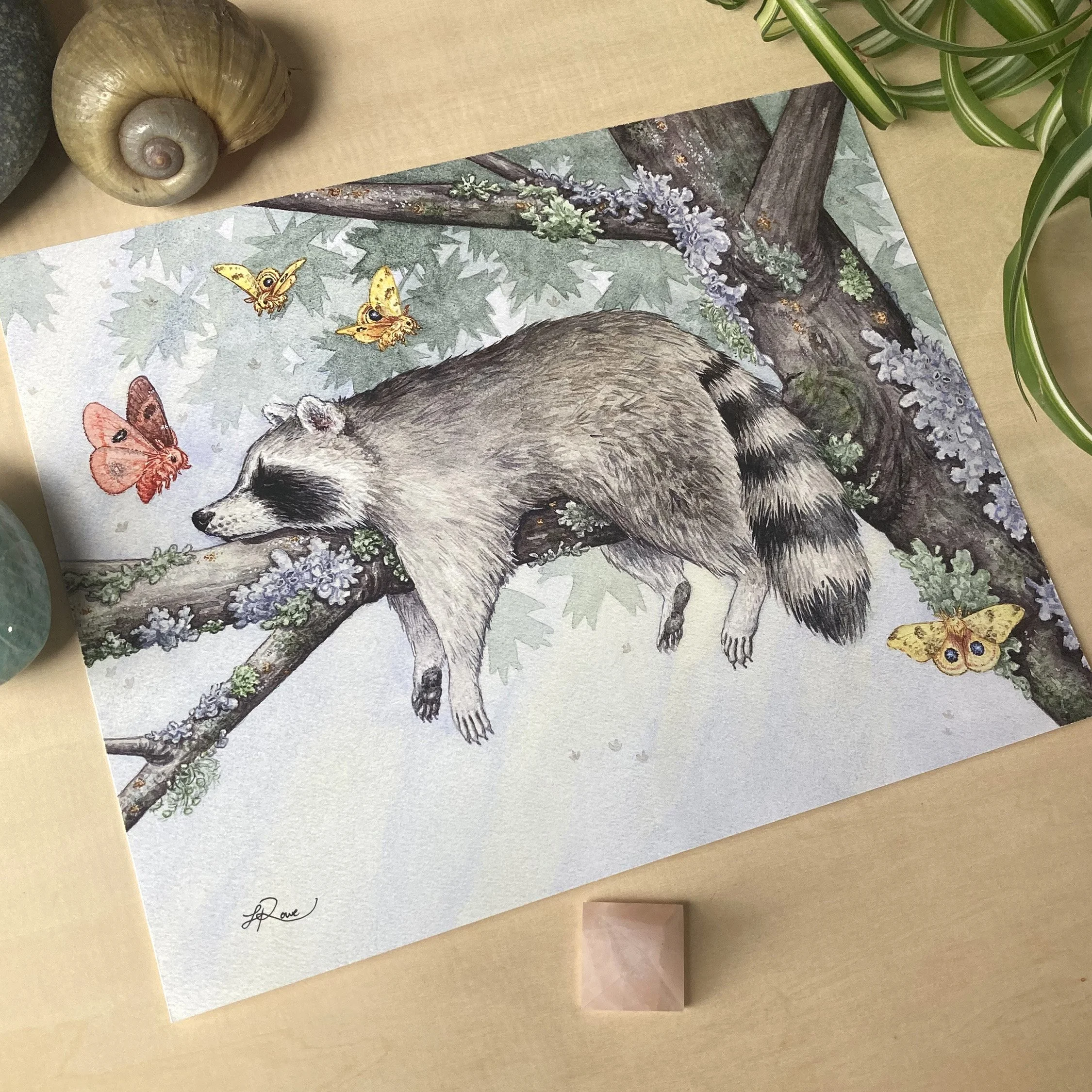 LRowe_raccoon print_photo 3.jpg