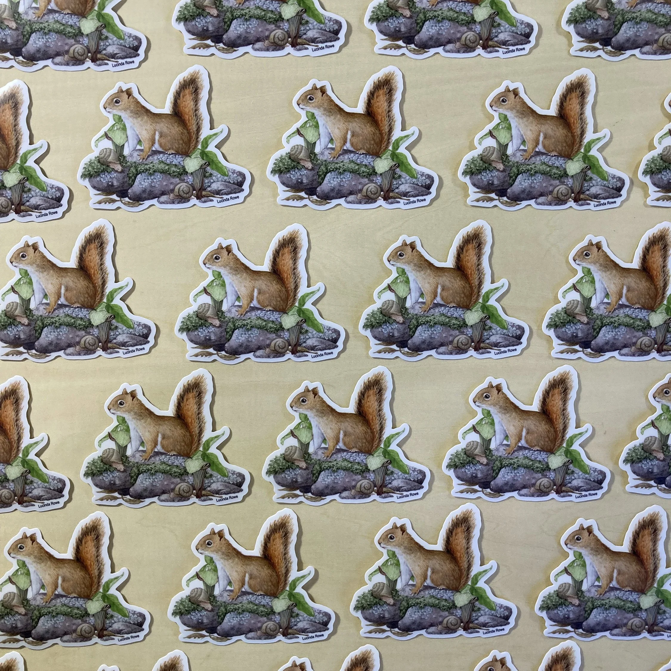 LRowe_sticker squirrel_photo 2.jpg