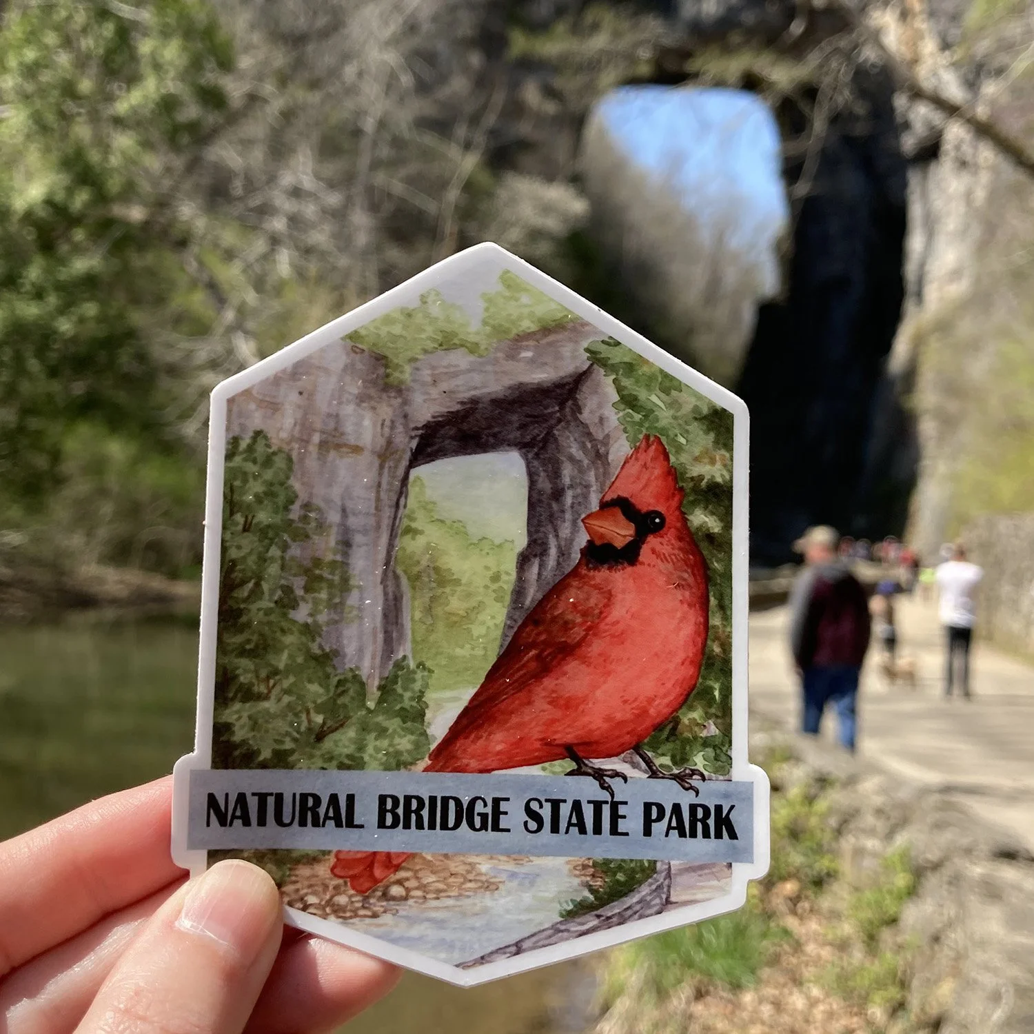 LRowe_NB cardinal_web.jpg