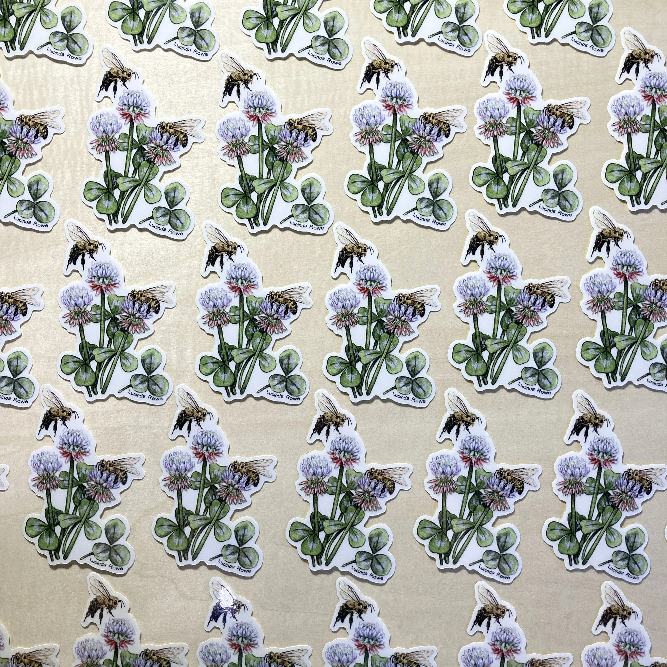 LRowe_honey bee sticker_photo 3.jpg