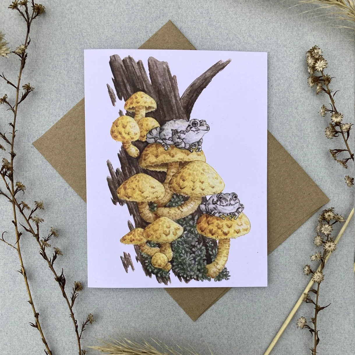 Cards_Amphibians_photo 7.jpg