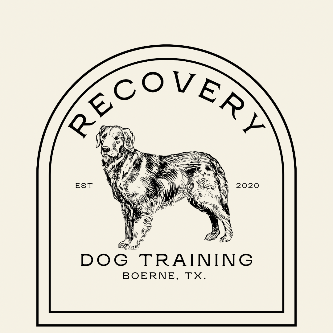 Recovery Dog Training