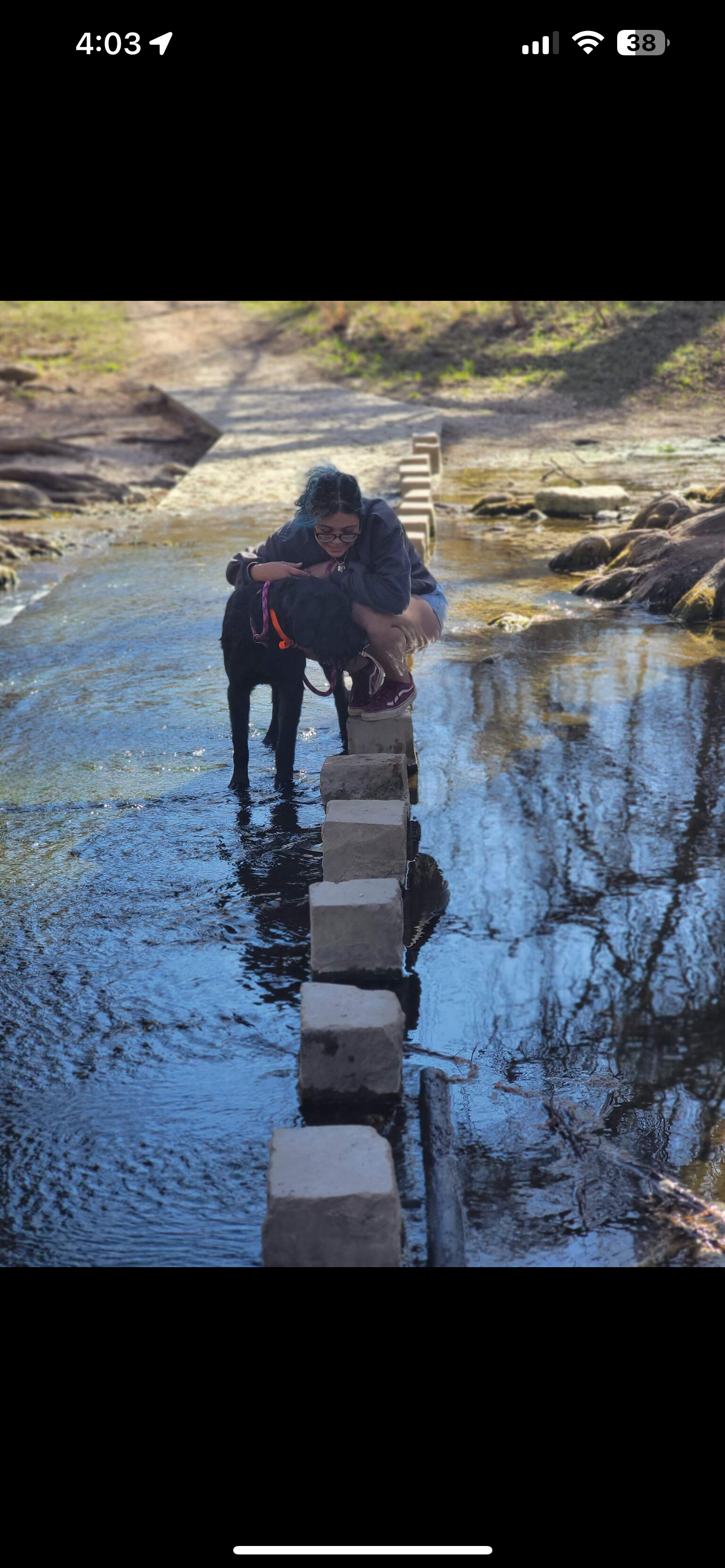 A person and a dog standing on a narrow stone bridge over a creek during a hike. The dog is enrolled in the Board and Train service.