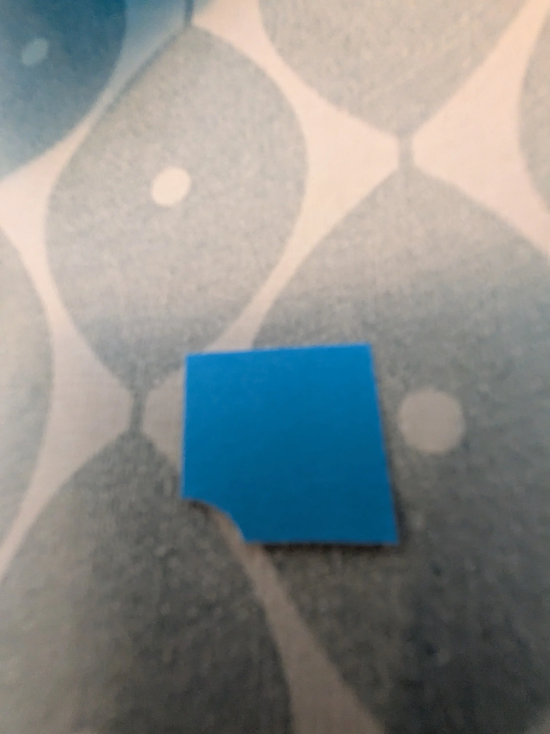 PXL_20260517_135104485.jpg