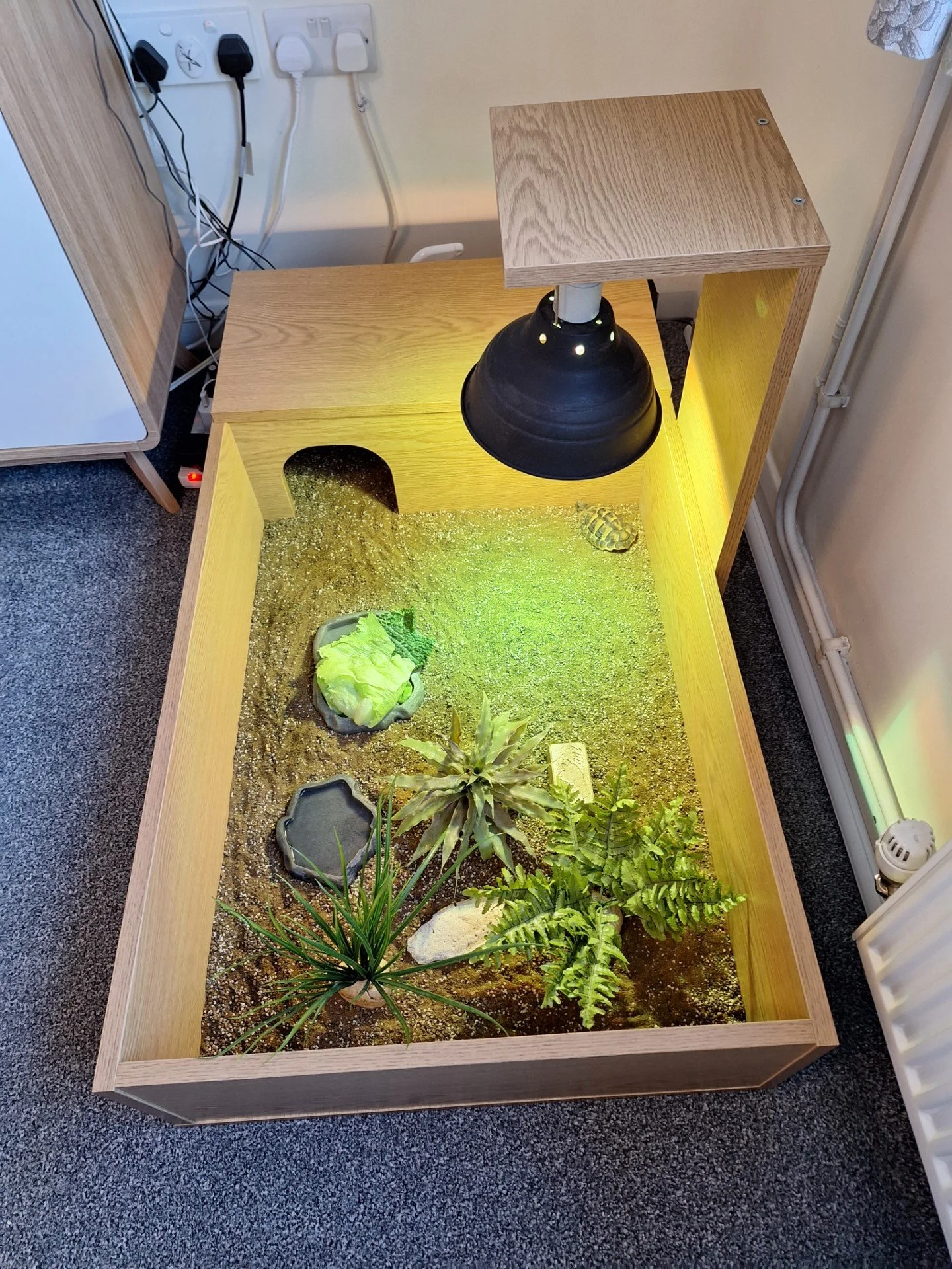 new home