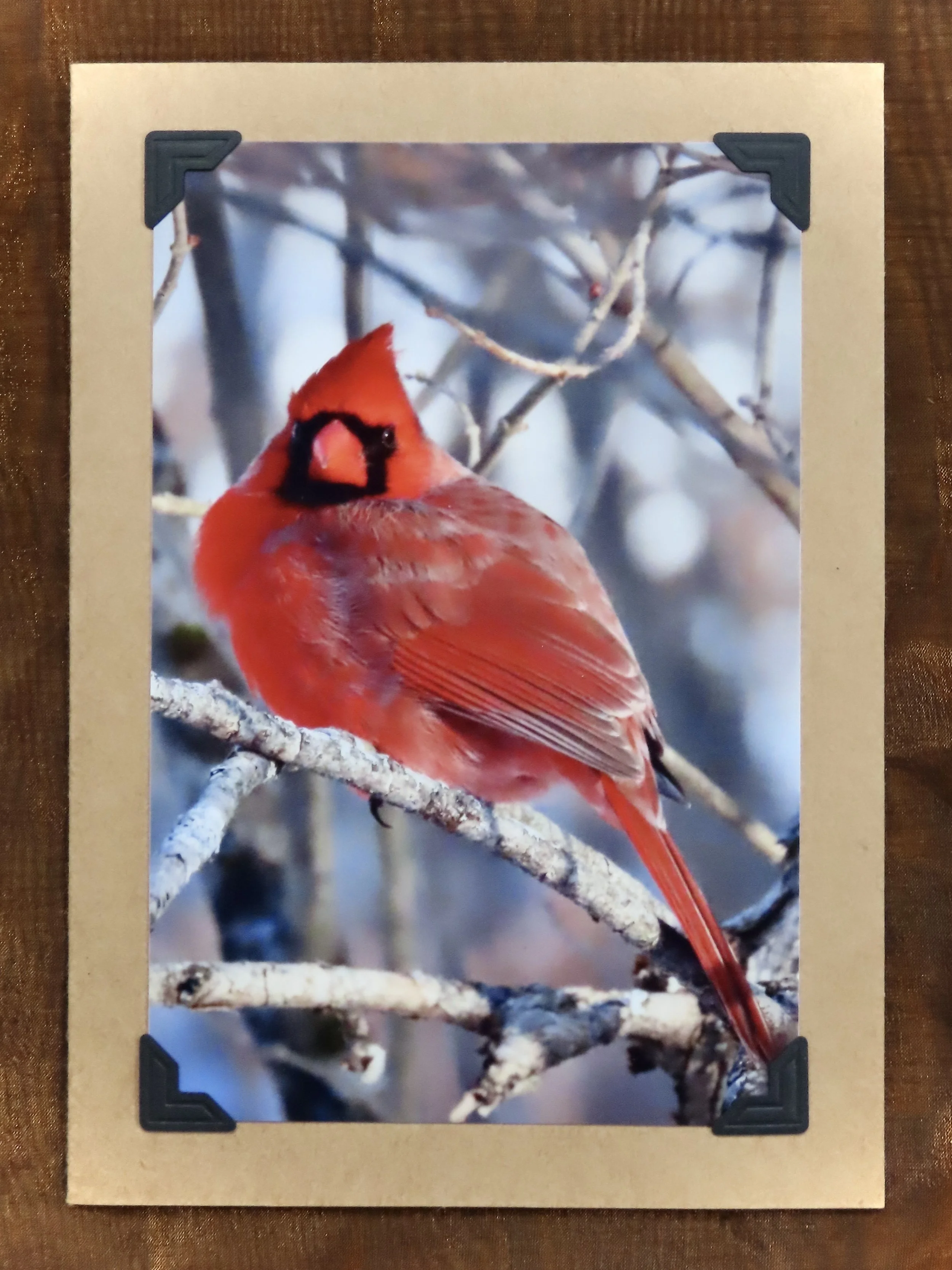 Cardinal Greeting Card
