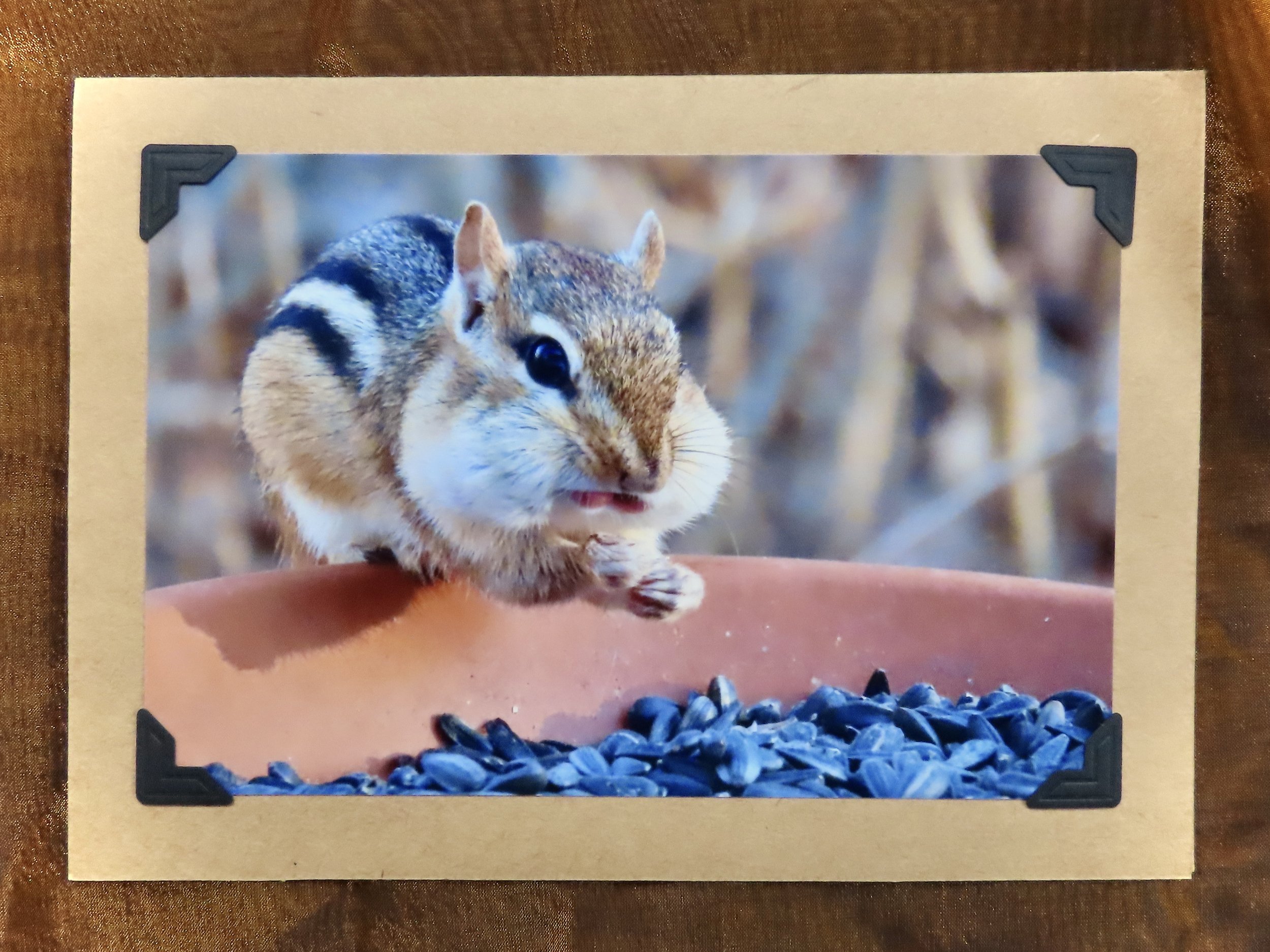 Hungry Chipmunk Greeting Card