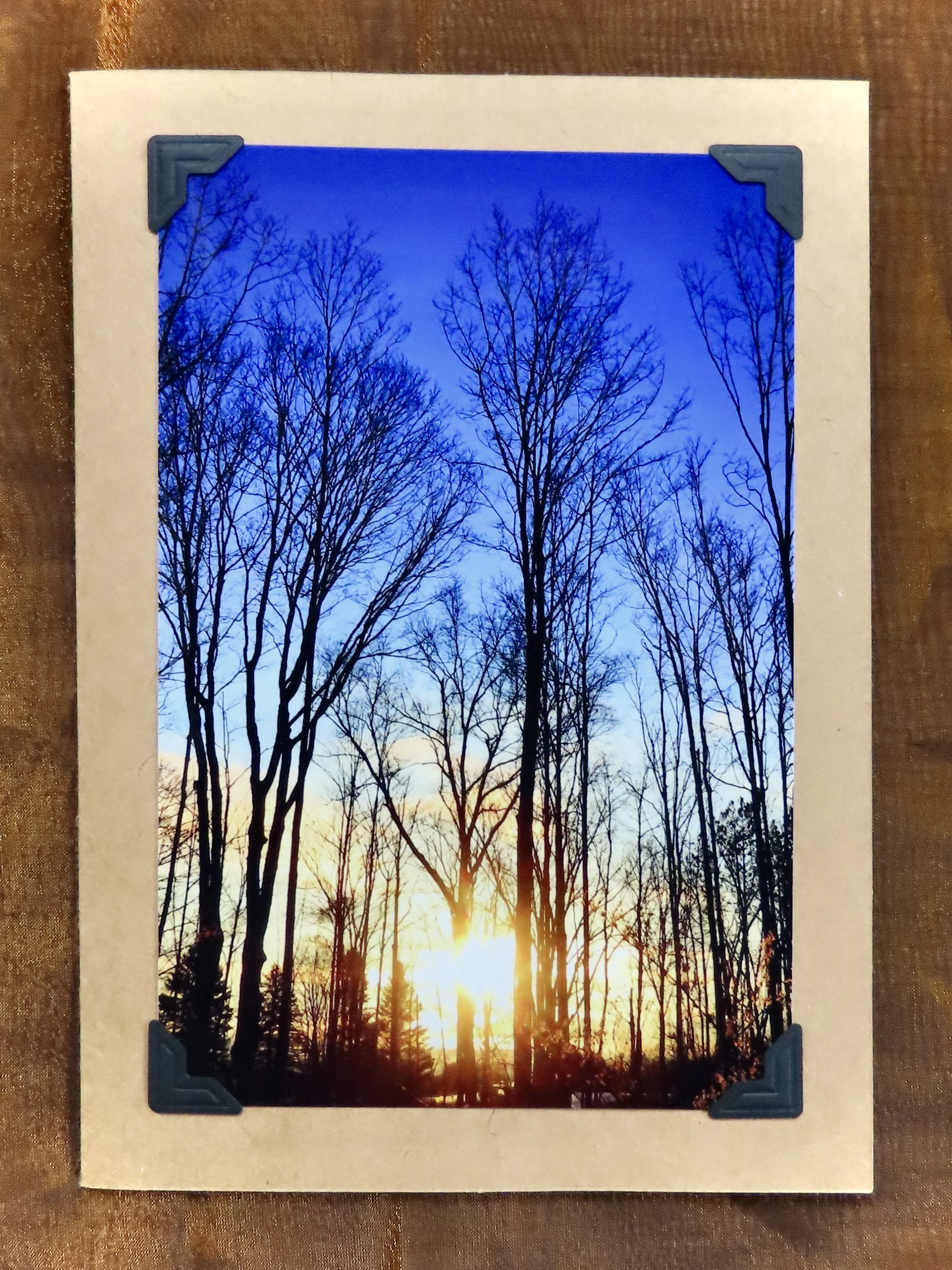 Winter Tree Sunset Greeting Card