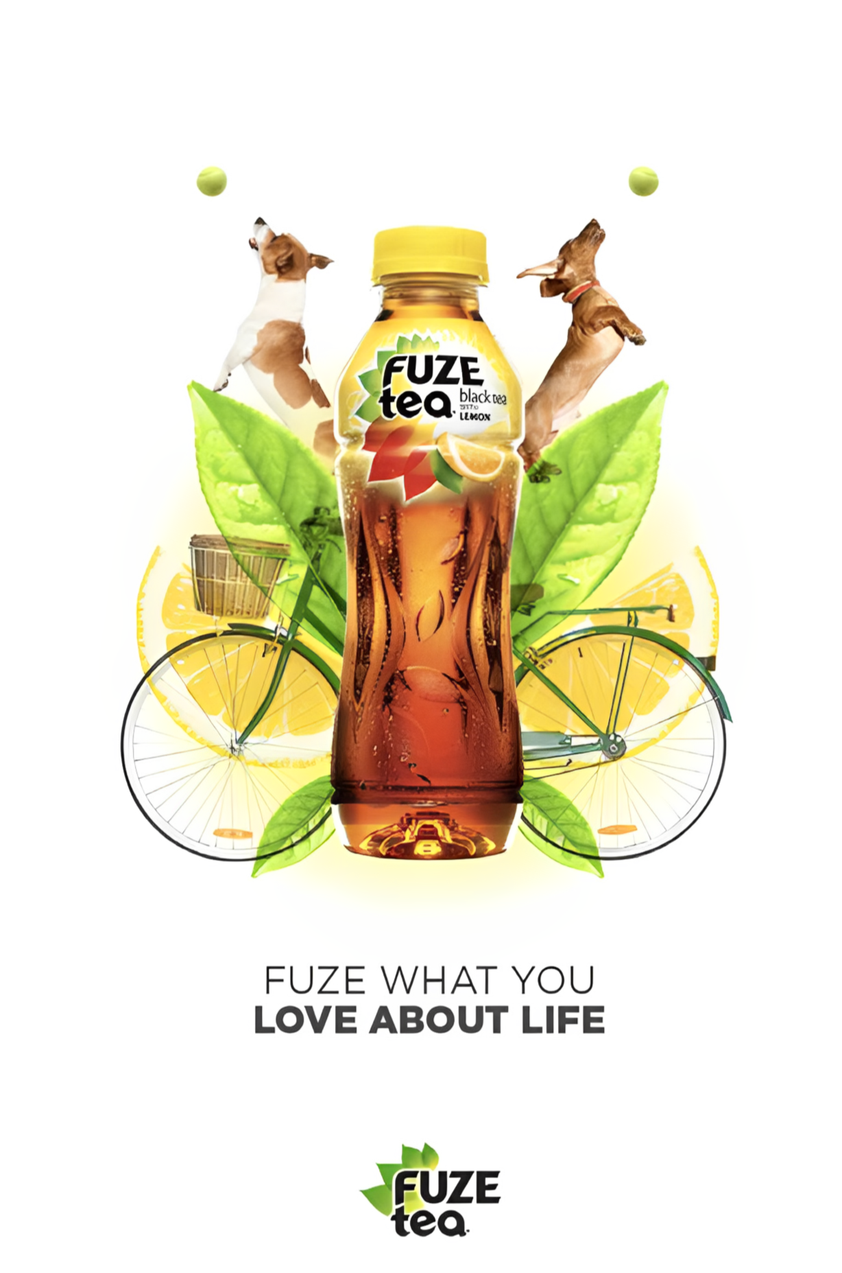 A Katalyst Atlanta promotional ad Fuze Tea bottle centered with two playful dogs jumping and chasing tennis balls in the background. Surrounding the bottle are green leaves, lemon slices, and a bicycle.