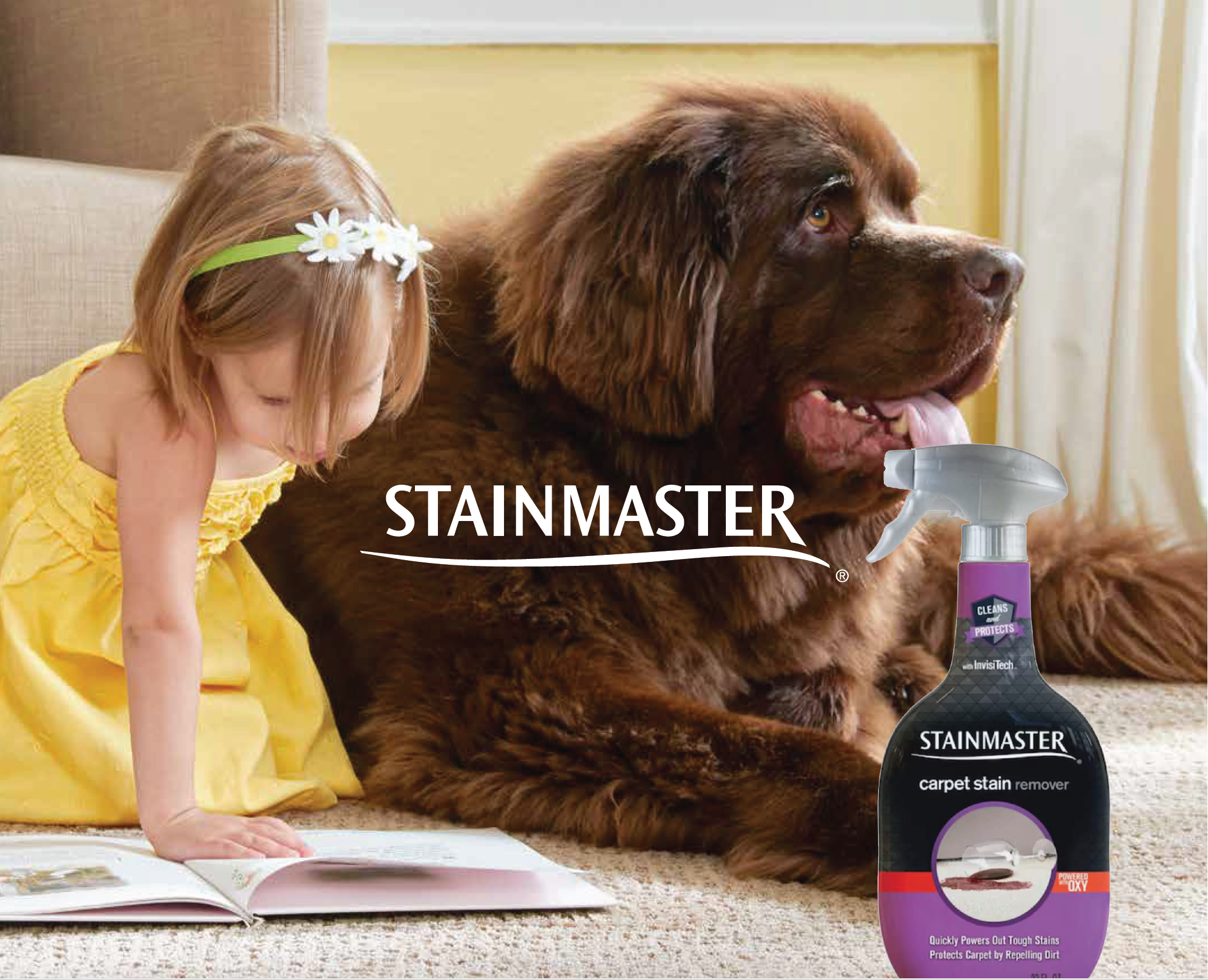 A young girl in a yellow dress with a daisy headband reading a book on the carpet next to a large brown dog. A bottle of Stainmaster carpet stain remover spray is in the foreground.