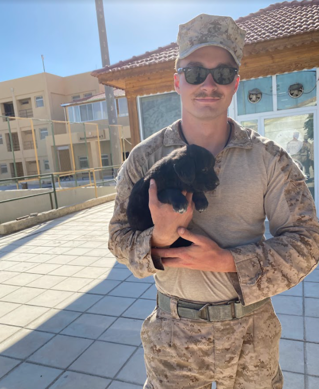 Screenshot 2022-03-18 184306.png