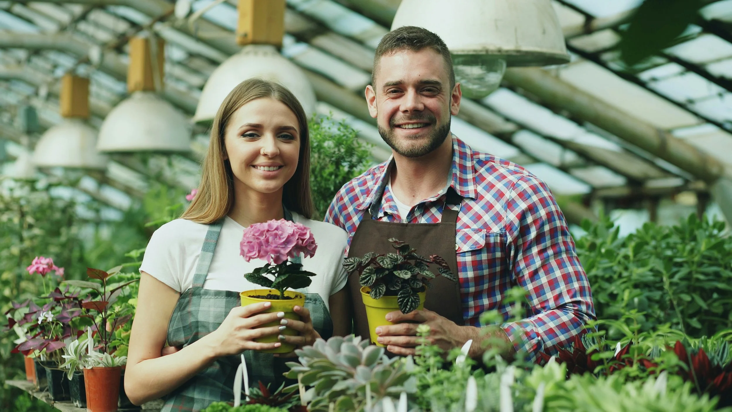 A couple gardening in a greenhouse.
