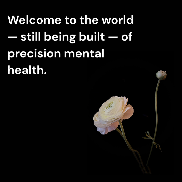 Photo by Thandi Gross McLeod, Toronto, 2025; Phrase Inspired by Mark Conley’s description of a “world — still under construction — of precision mental health.”
