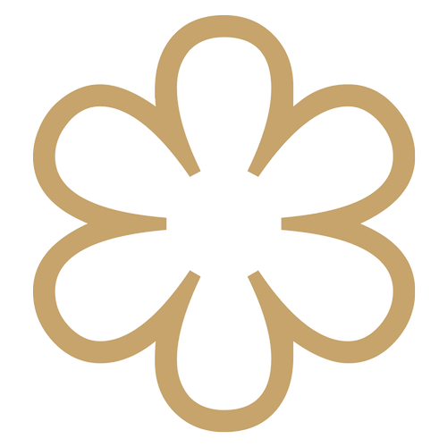 Michelin Experience Icon