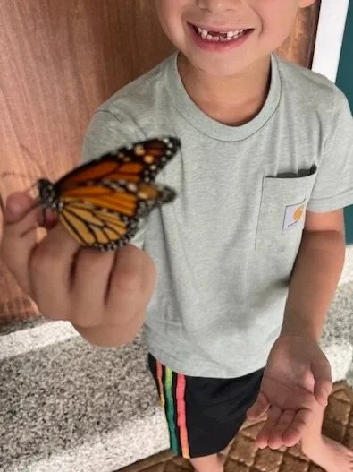 Butterfly release