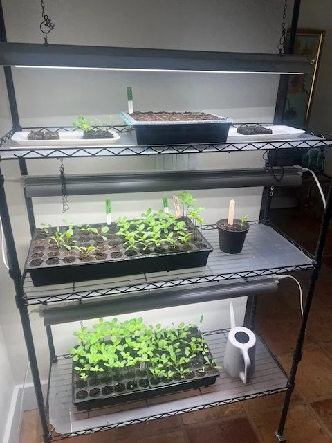 Things are moving along...quickly!