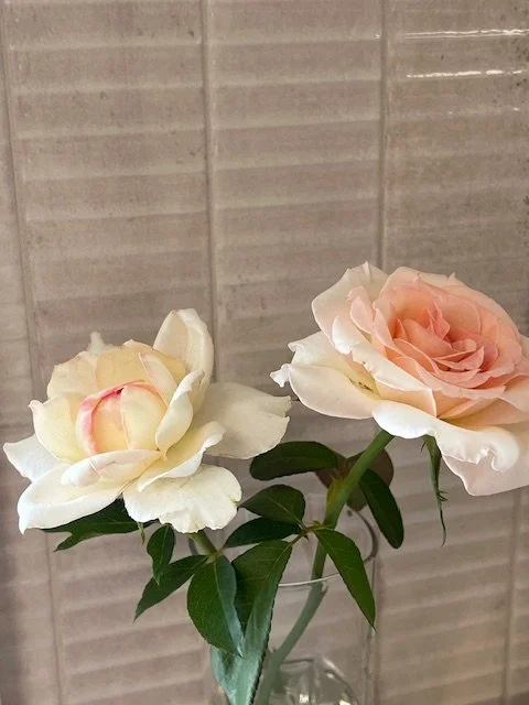 IMG_7765.jpeg